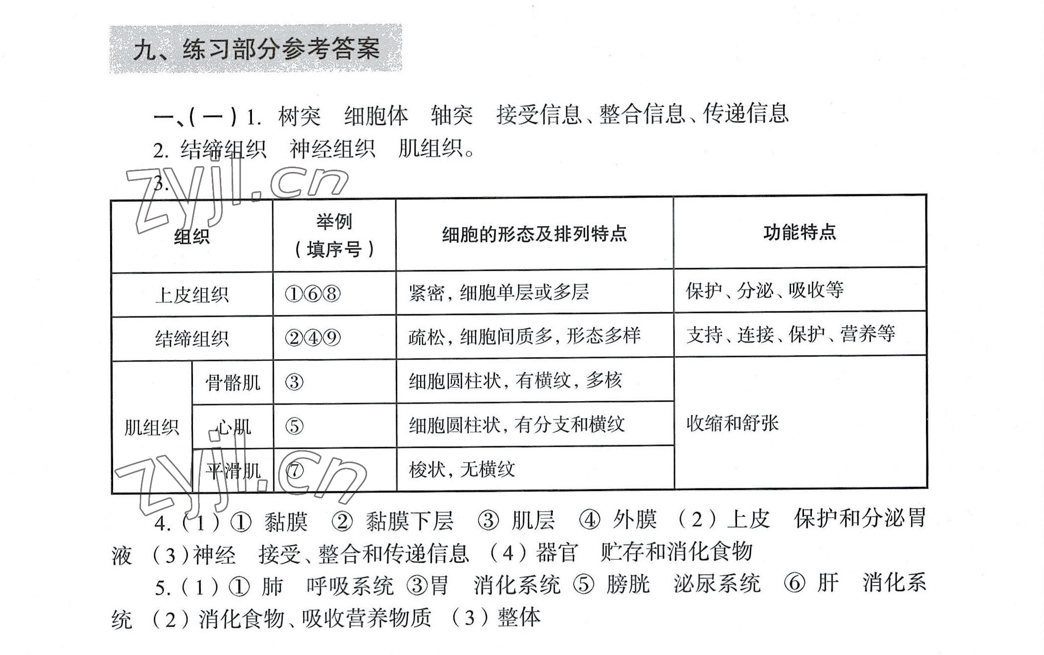 2022年練習(xí)部分初中生命科學(xué)第一冊(cè)滬教版54制 參考答案第1頁