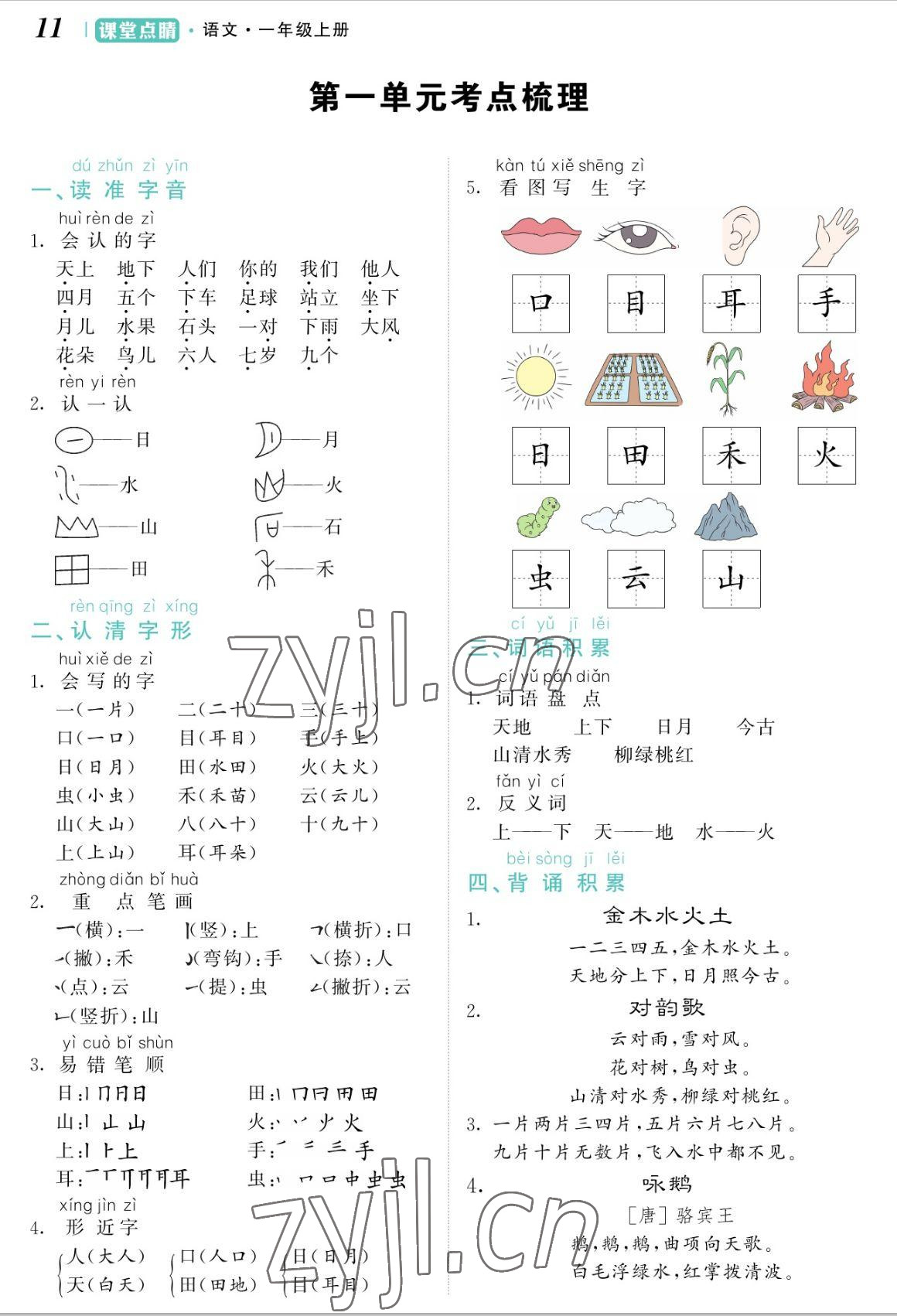 2022年课堂点睛一年级语文上册人教版湖南专版 参考答案第11页