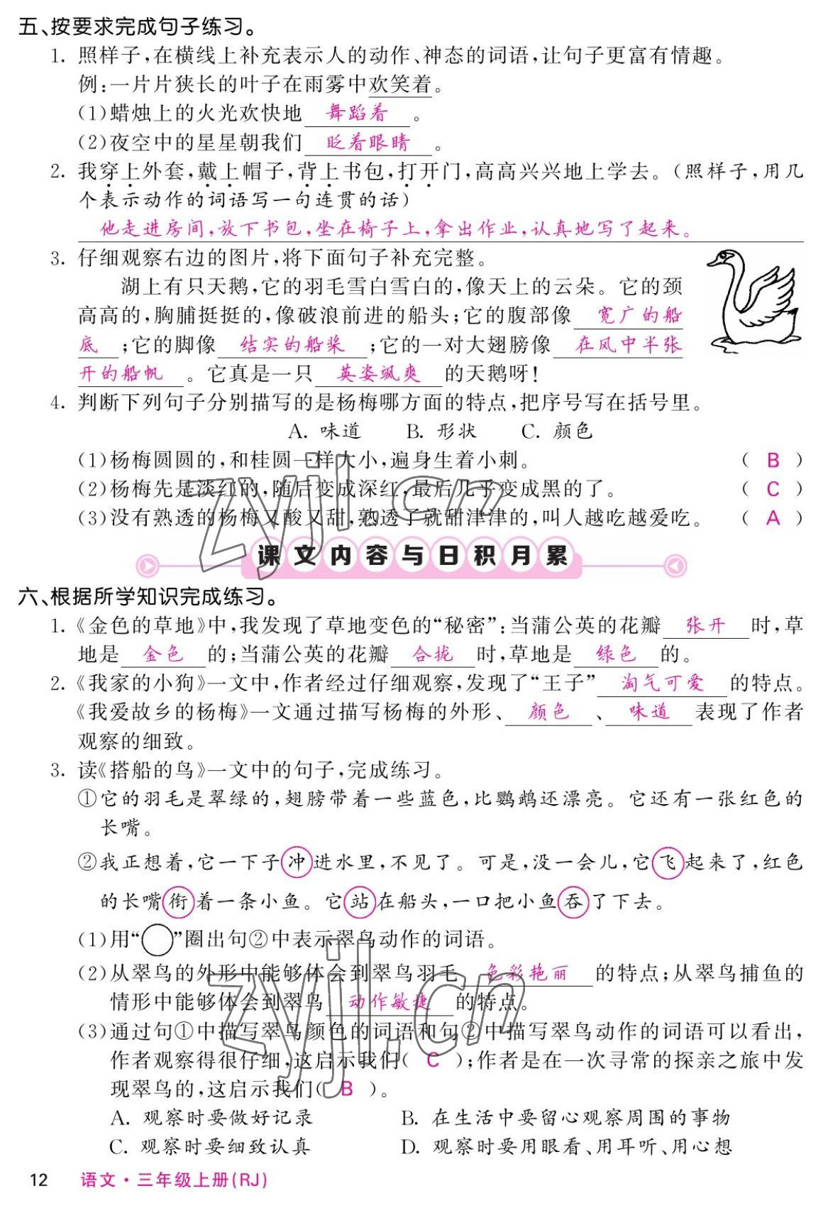 2022年课堂点睛三年级语文上册人教版湖南专版 参考答案第22页