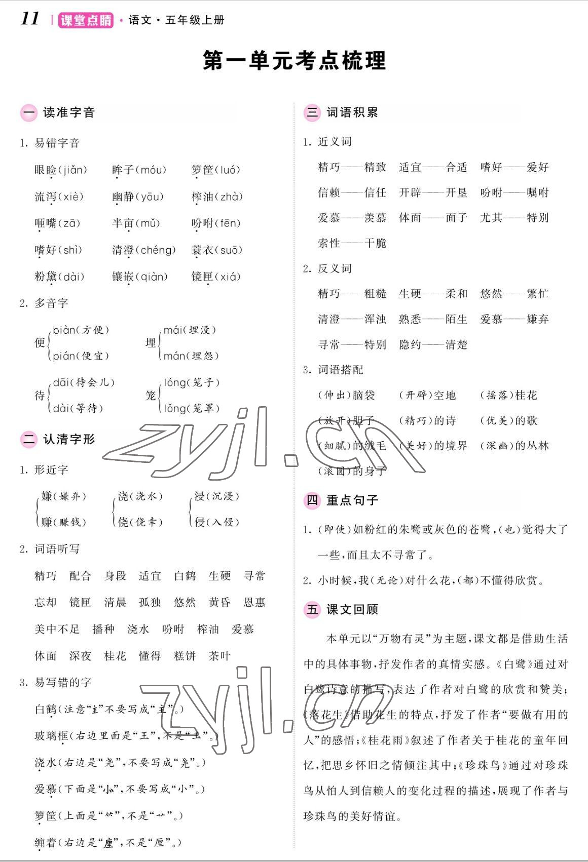 2022年课堂点睛五年级语文上册人教版湖南专版 参考答案第23页