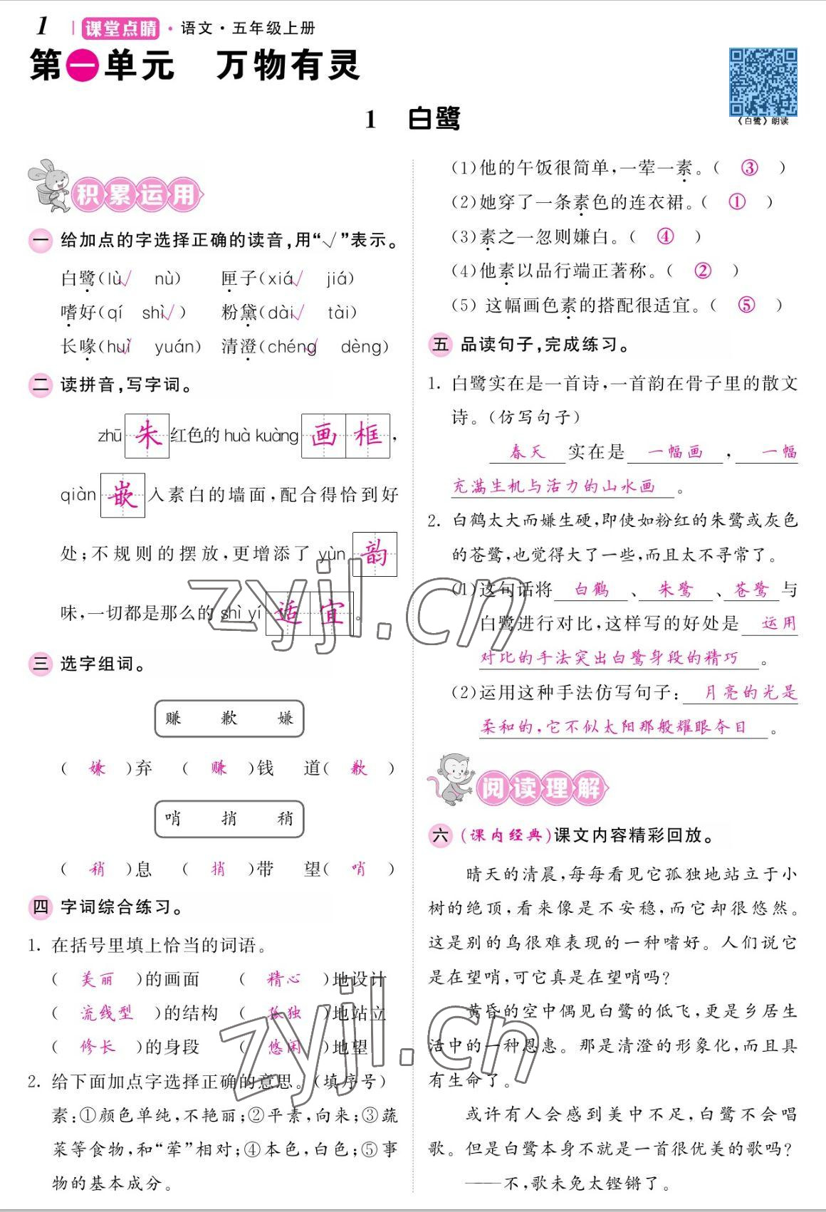 2022年课堂点睛五年级语文上册人教版湖南专版 参考答案第3页