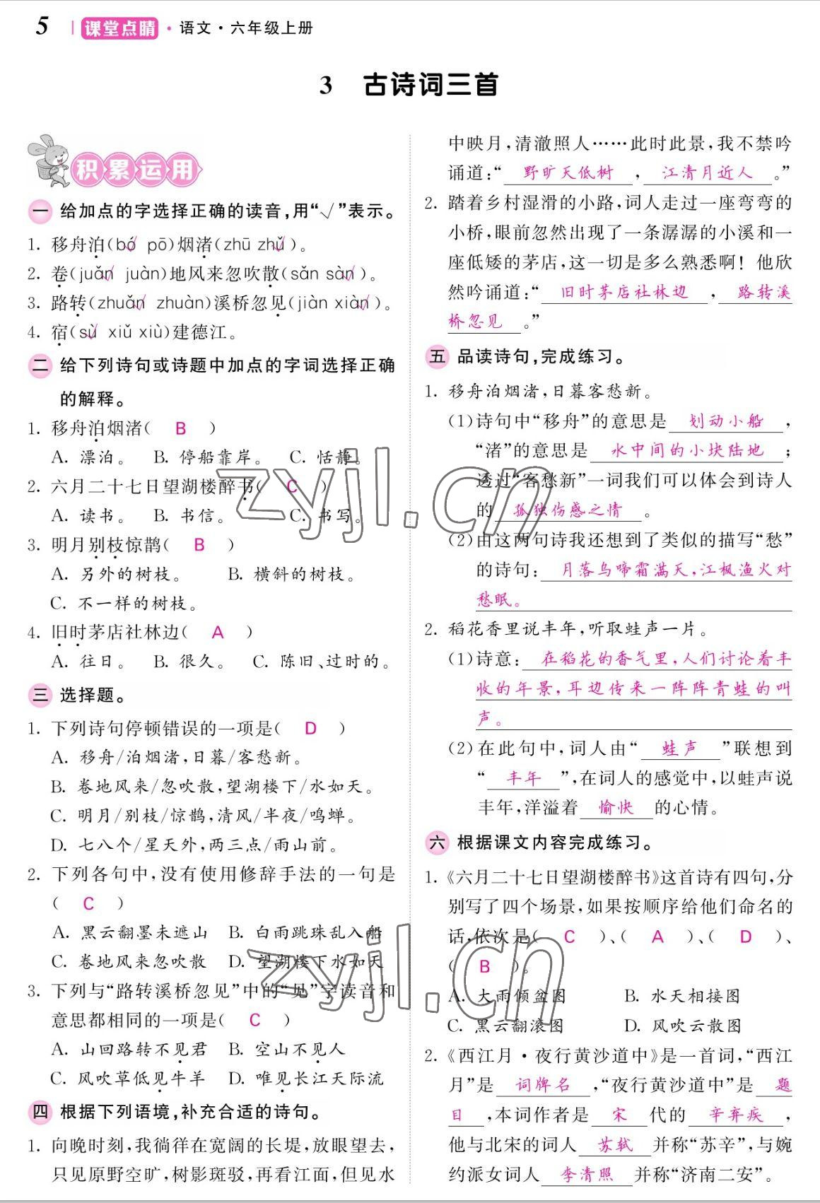 2022年课堂点睛六年级语文上册人教版湖南专版 参考答案第5页
