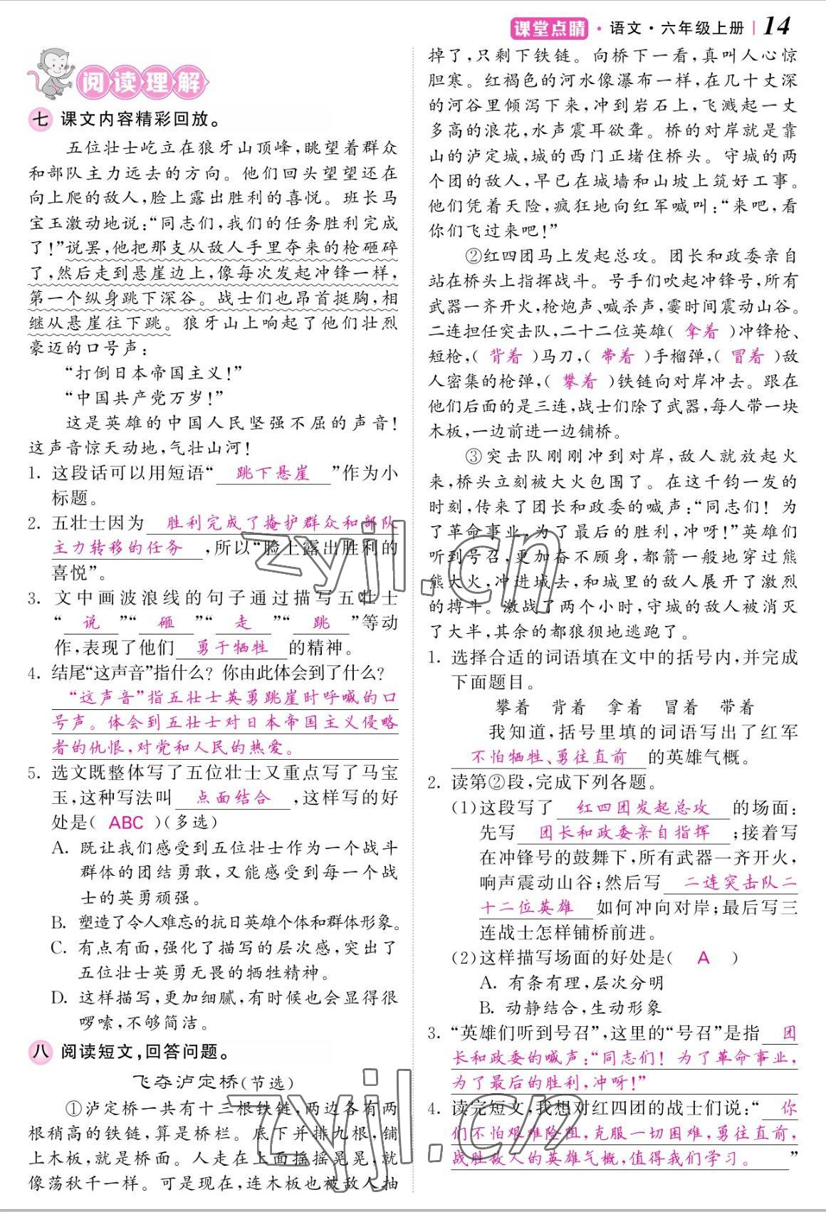2022年课堂点睛六年级语文上册人教版湖南专版 参考答案第14页