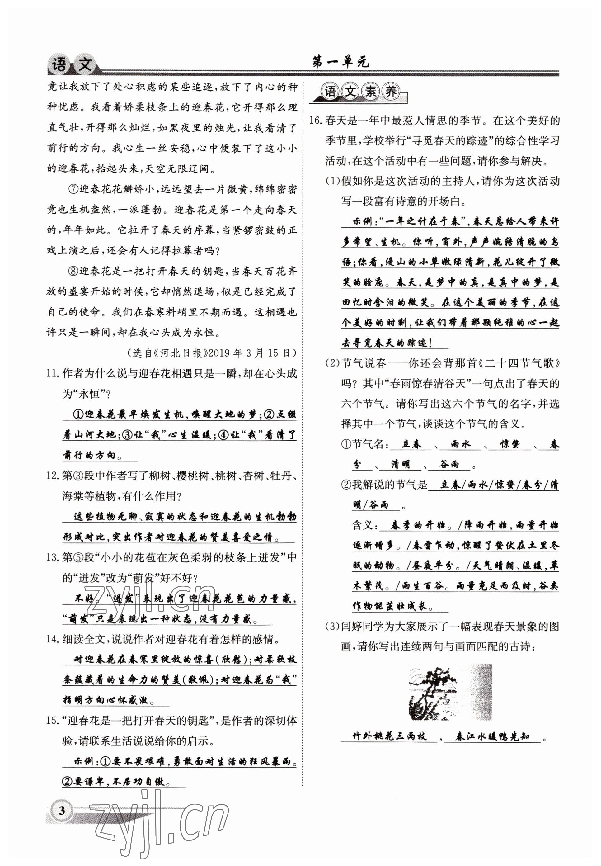 2022年體驗(yàn)型學(xué)案七年級(jí)語(yǔ)文上冊(cè)人教版 參考答案第3頁(yè)