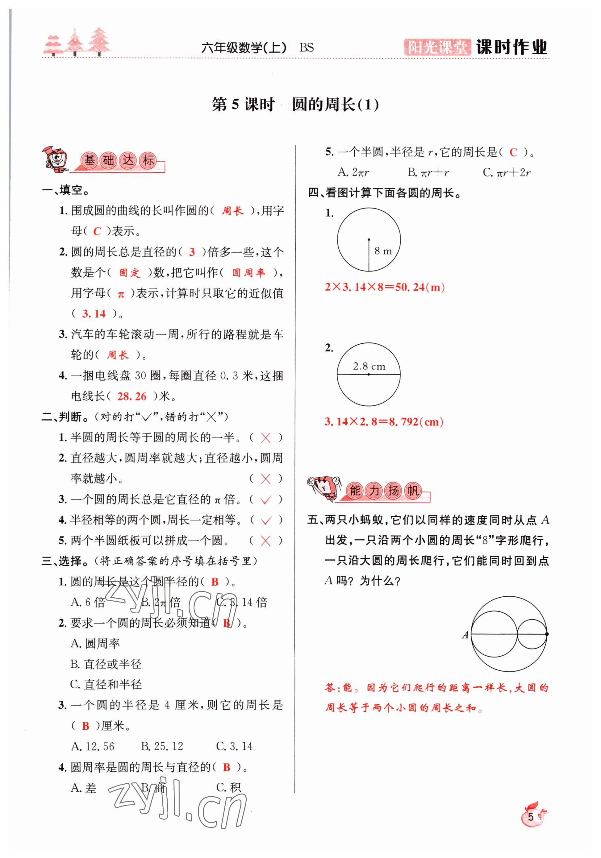 2022年陽(yáng)光課堂課時(shí)作業(yè)六年級(jí)數(shù)學(xué)上冊(cè)北師大版 參考答案第5頁(yè)