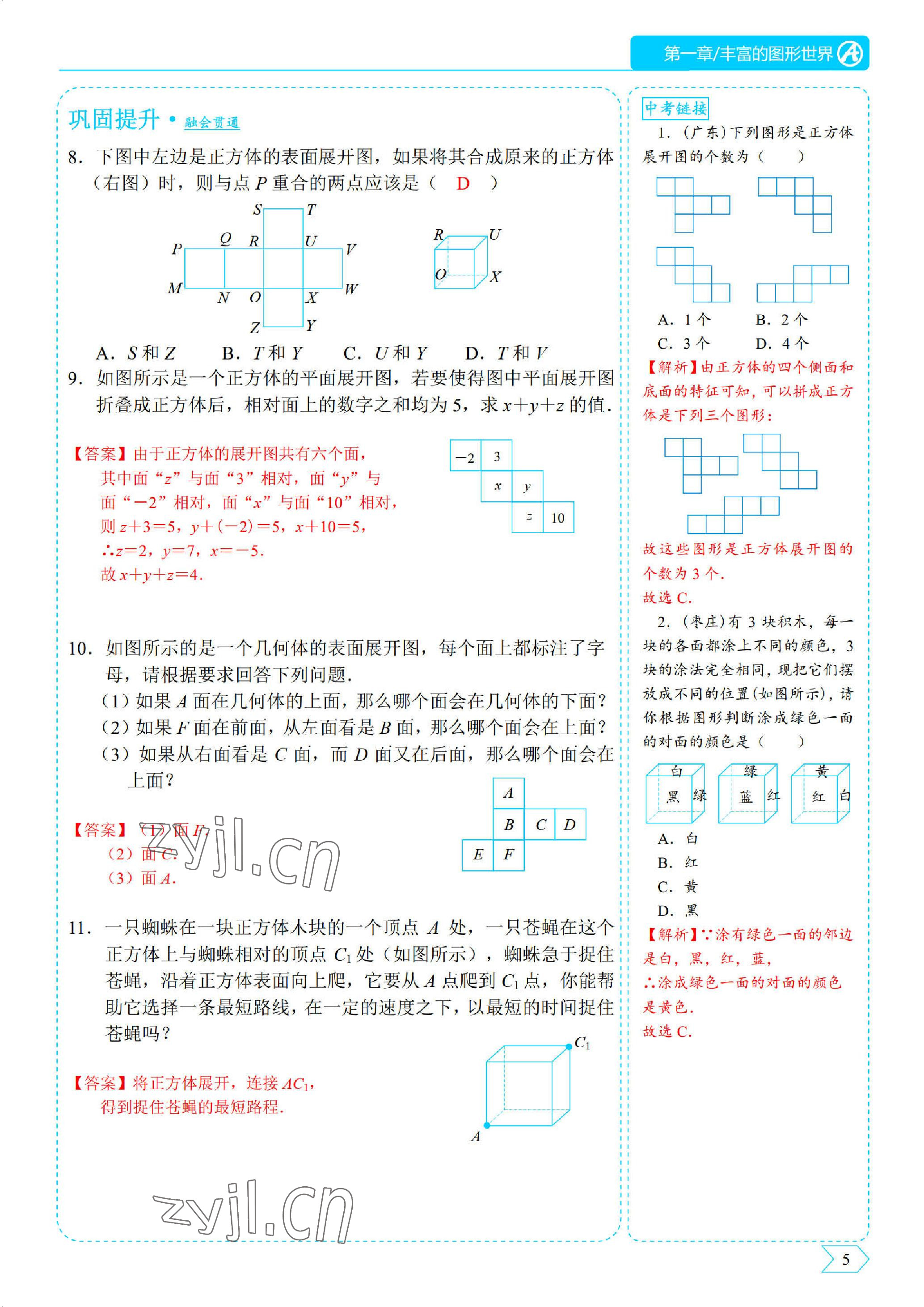 2022年优蓝数学A典演练七年级上册北师大版 参考答案第5页