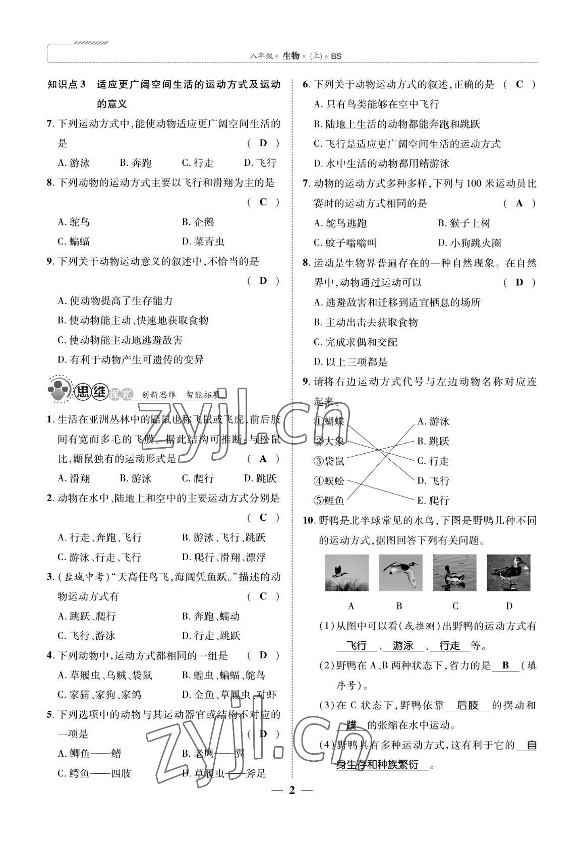 2022年我的作業(yè)八年級生物上冊北師大版 參考答案第2頁