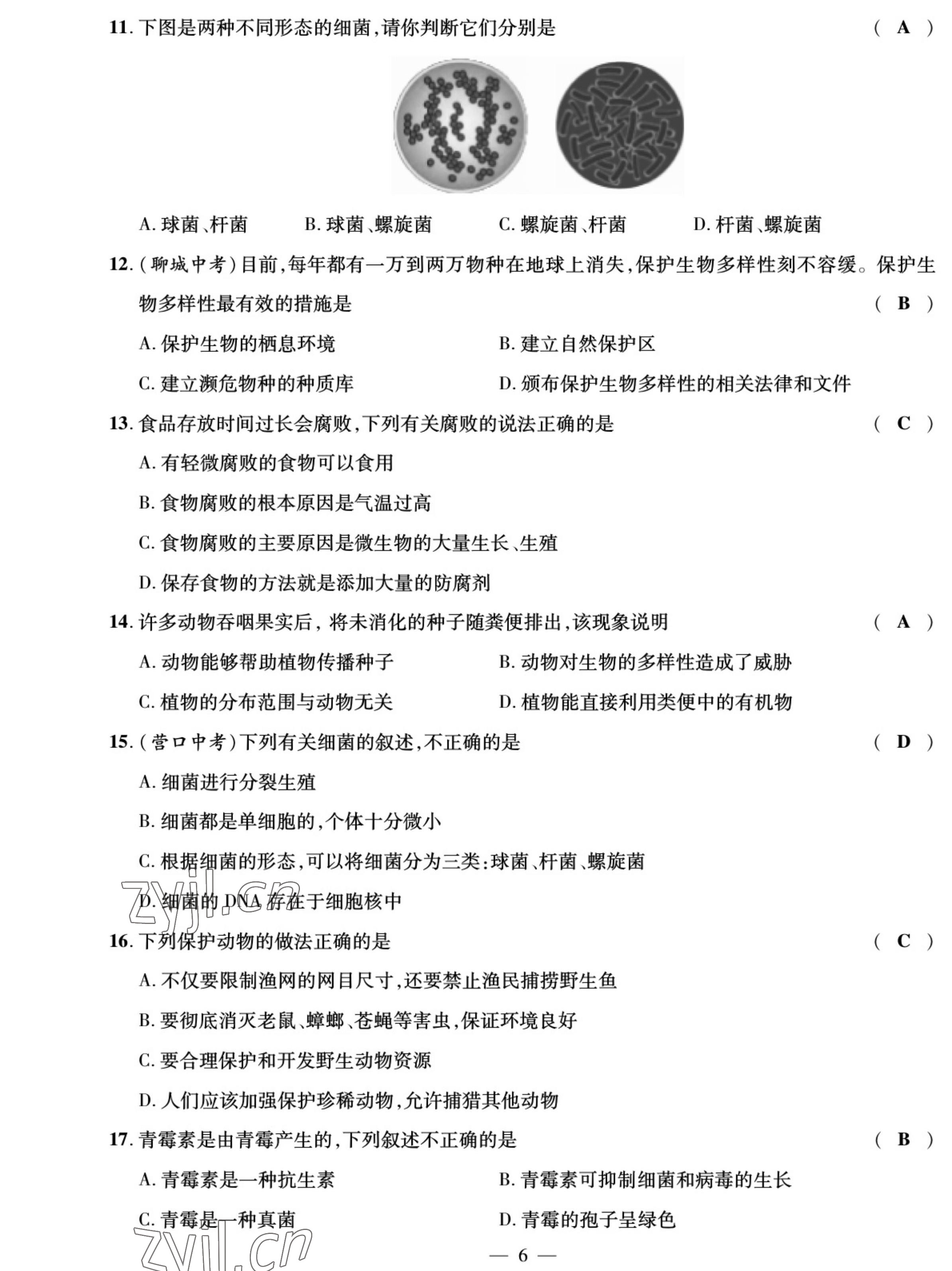 2022年我的作業(yè)八年級生物上冊北師大版 參考答案第6頁