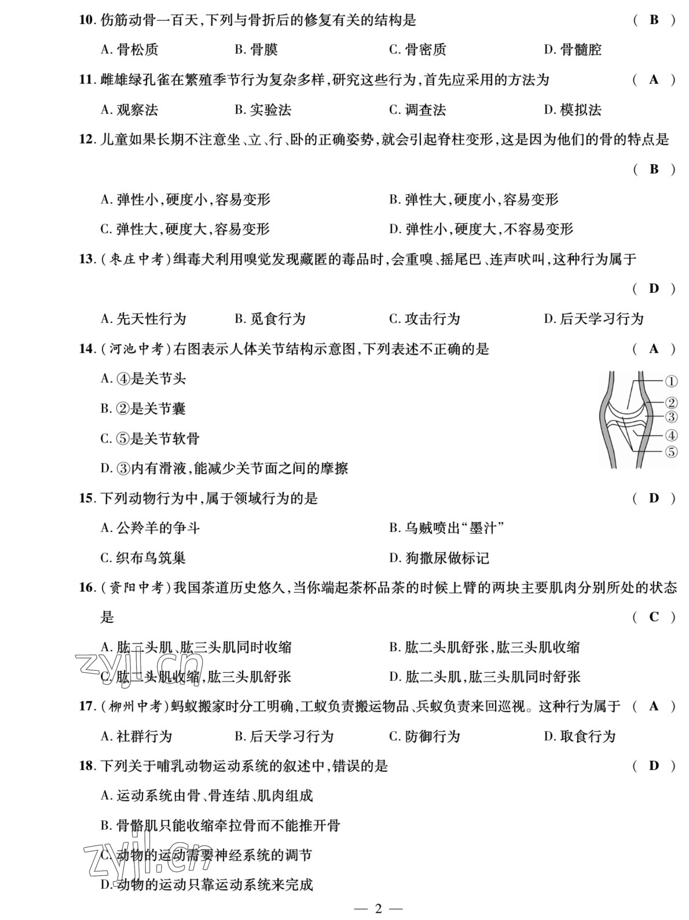 2022年我的作業(yè)八年級生物上冊北師大版 參考答案第2頁