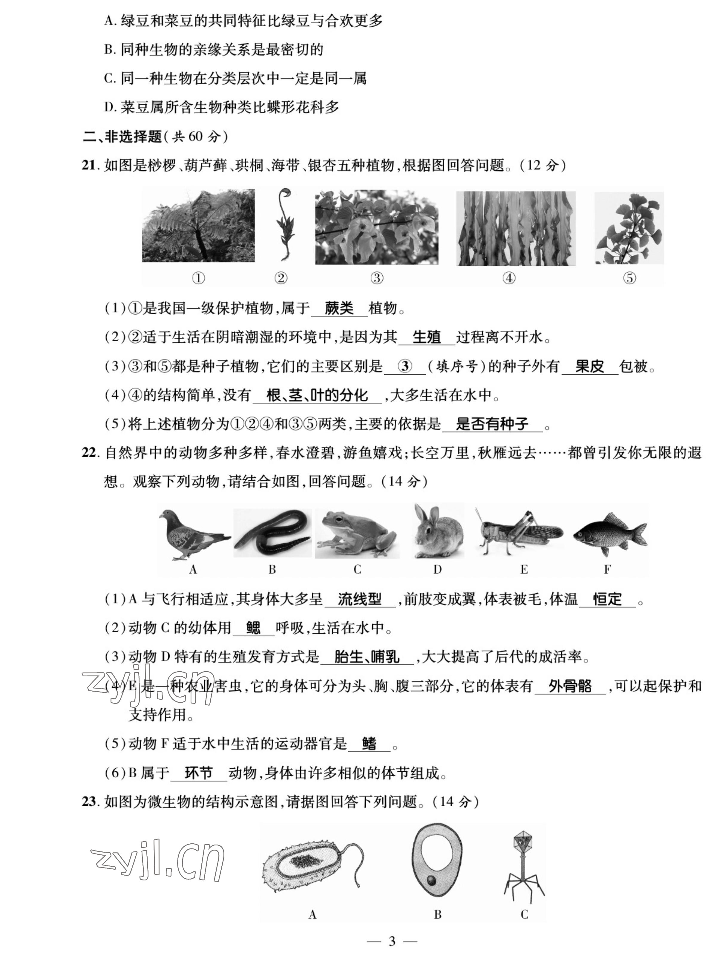 2022年我的作業(yè)八年級生物上冊蘇教版 參考答案第3頁