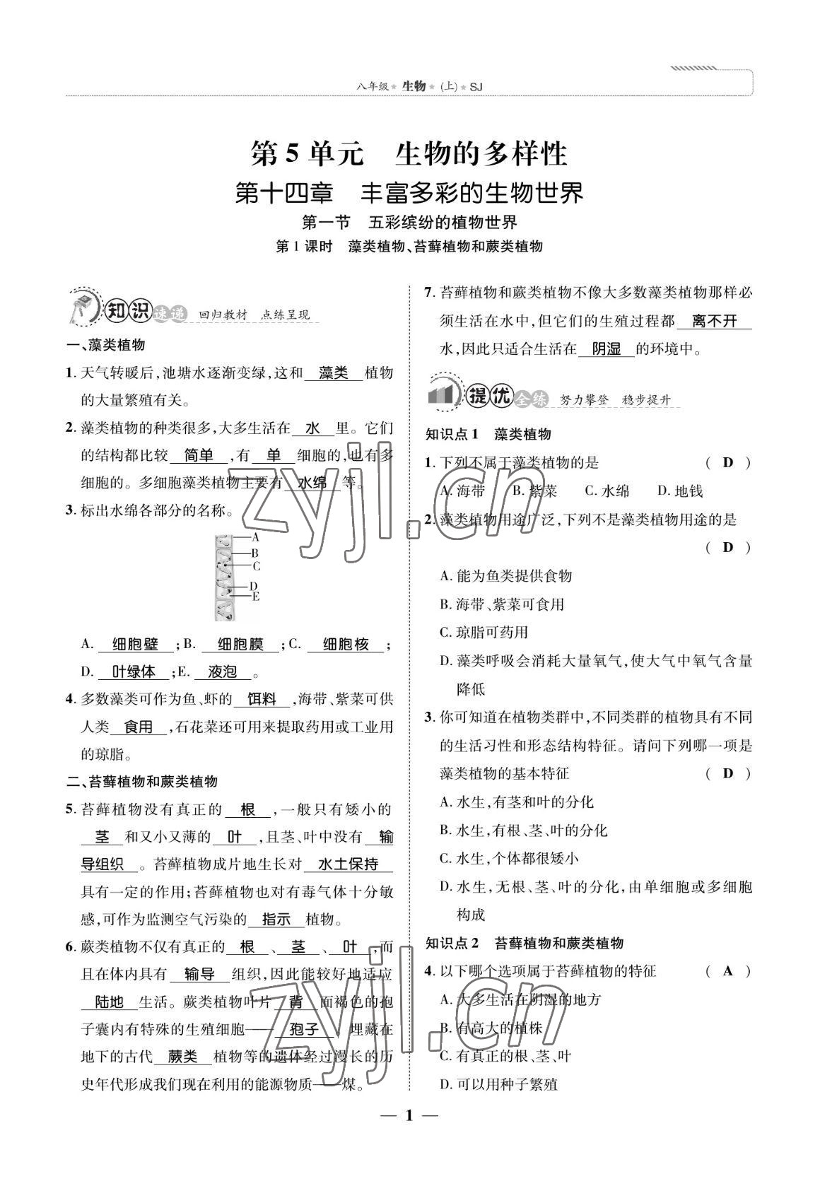 2022年我的作業(yè)八年級生物上冊蘇教版 參考答案第1頁