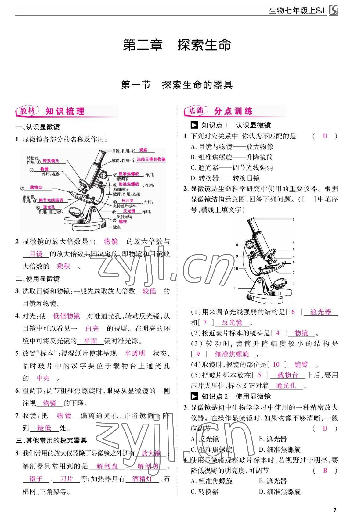 2022年我的作业七年级生物上册苏教版 参考答案第7页