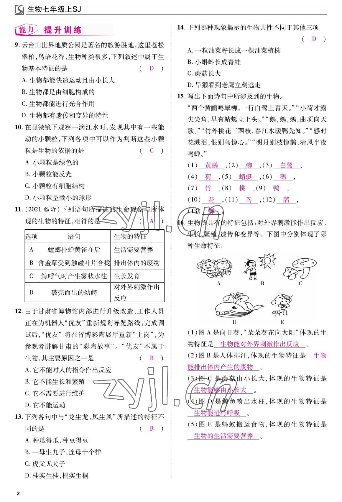 2022年我的作业七年级生物上册苏教版 参考答案第2页