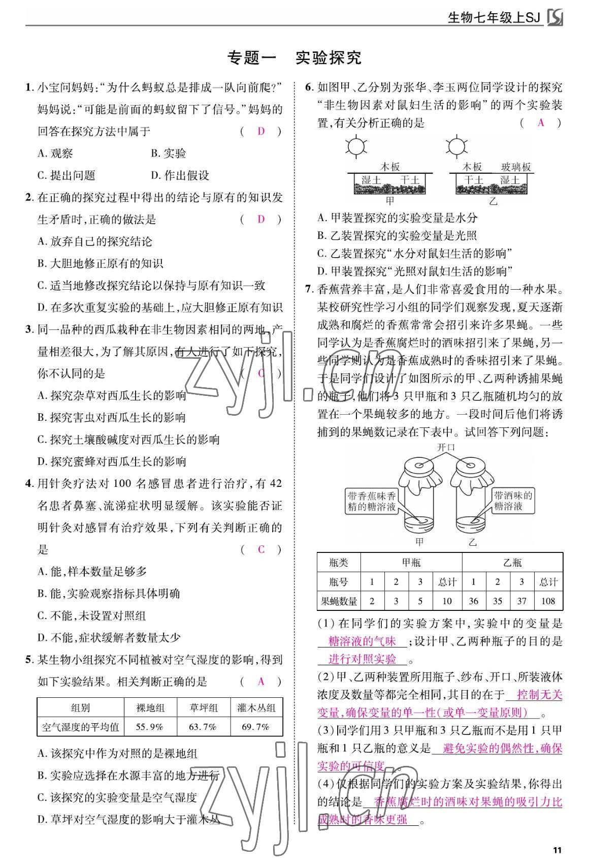 2022年我的作业七年级生物上册苏教版 参考答案第11页