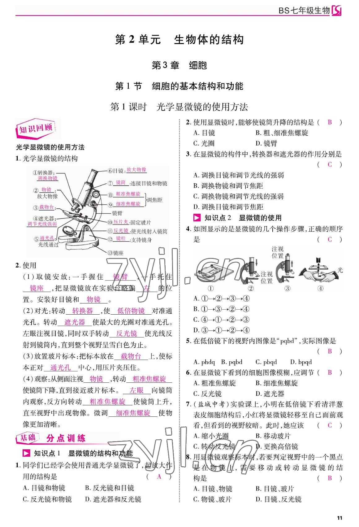 2022年我的作業(yè)七年級(jí)生物上冊(cè)北師大版 參考答案第11頁(yè)