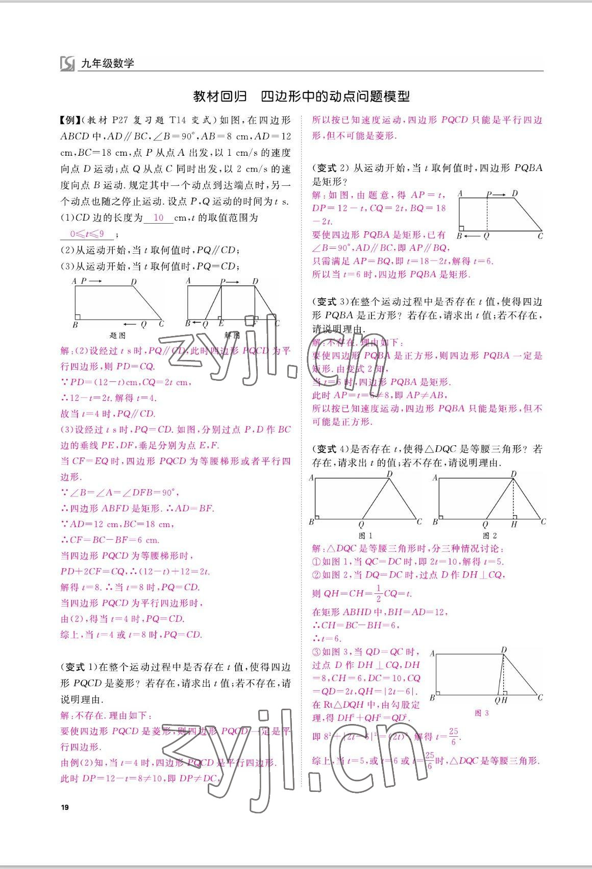 2022年我的作業(yè)九年級(jí)數(shù)學(xué)上冊(cè)北師大版 參考答案第19頁