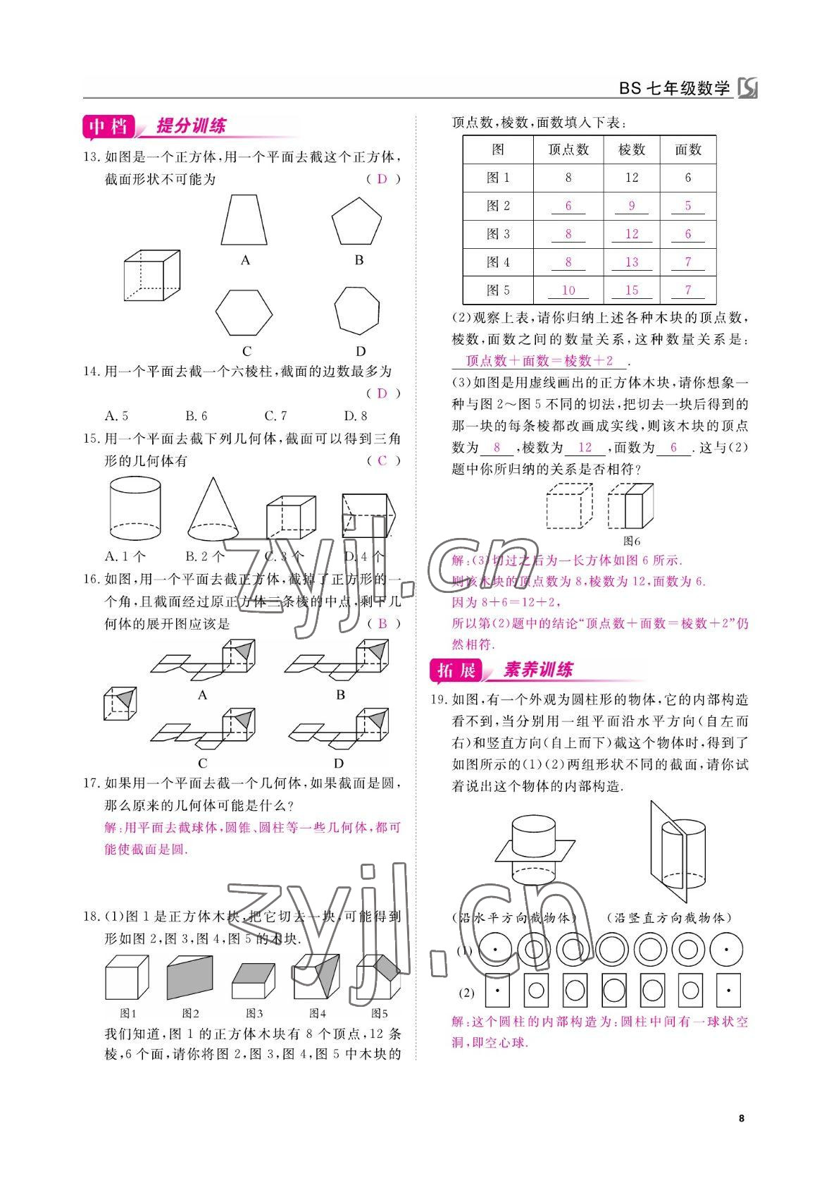 2022年我的作业七年级数学上册北师大版 参考答案第8页