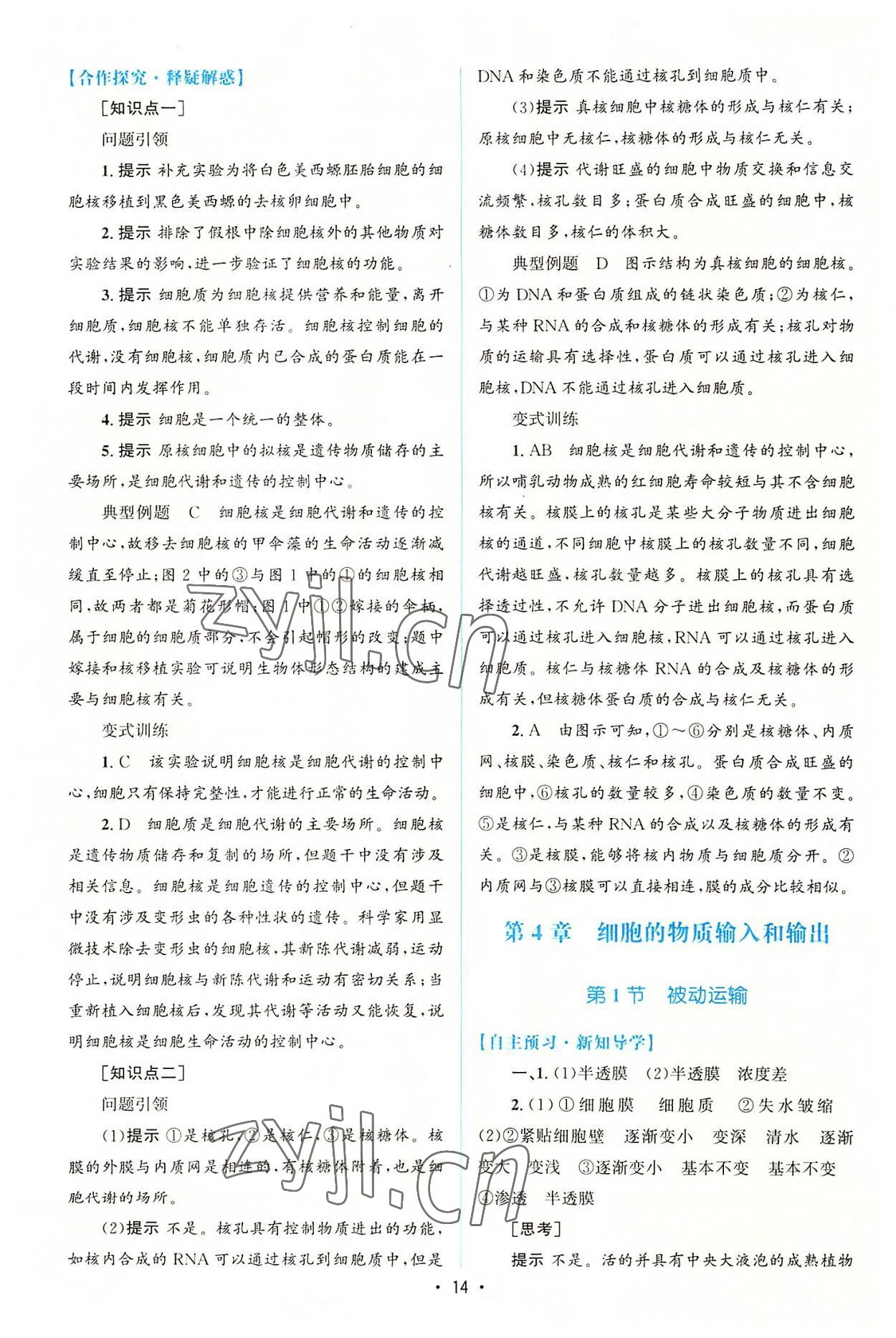 2022年高中同步測控優(yōu)化設(shè)計(jì)生物必修1分子與細(xì)胞增強(qiáng)版 參考答案第13頁