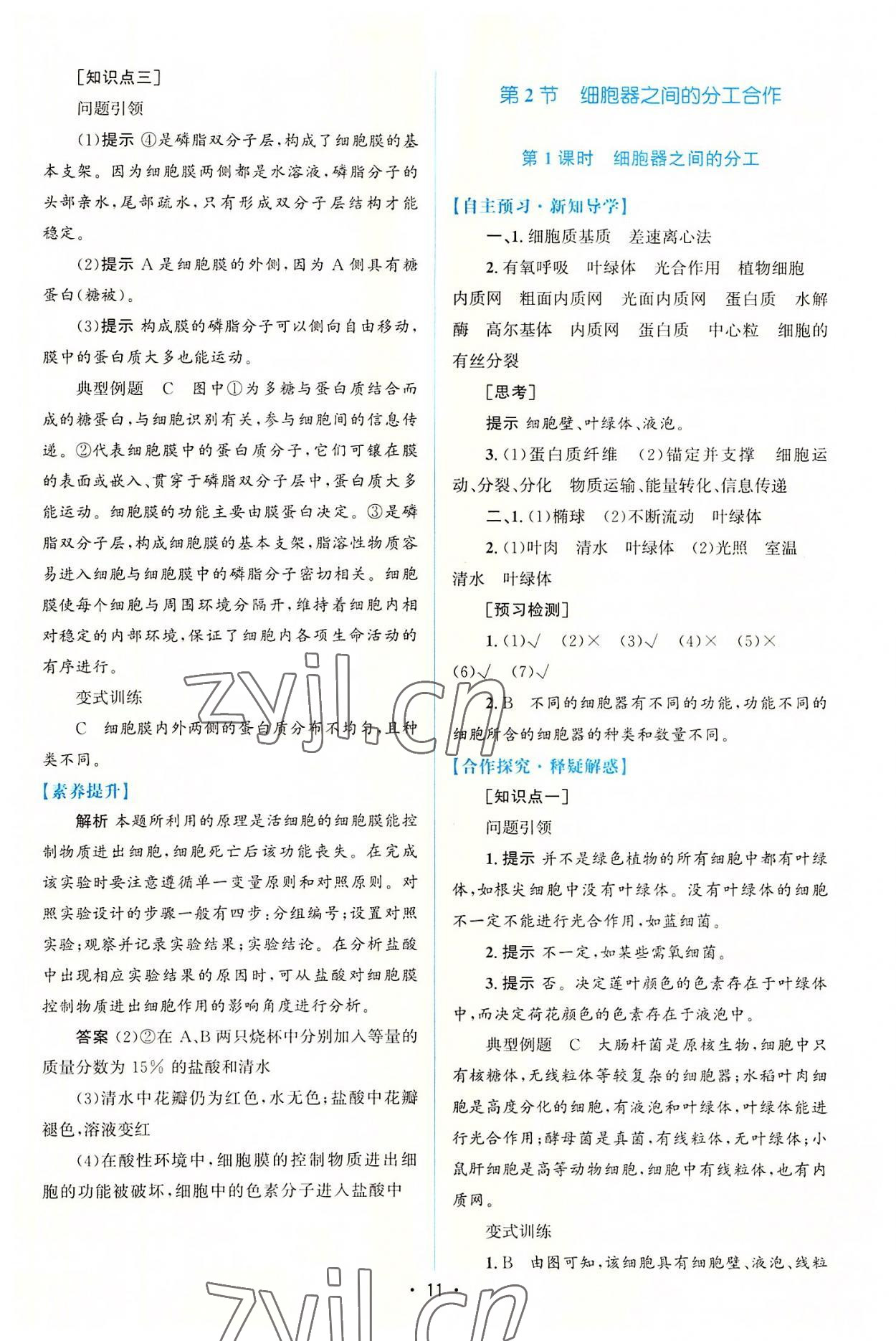 2022年高中同步测控优化设计生物必修1分子与细胞增强版 参考答案第10页