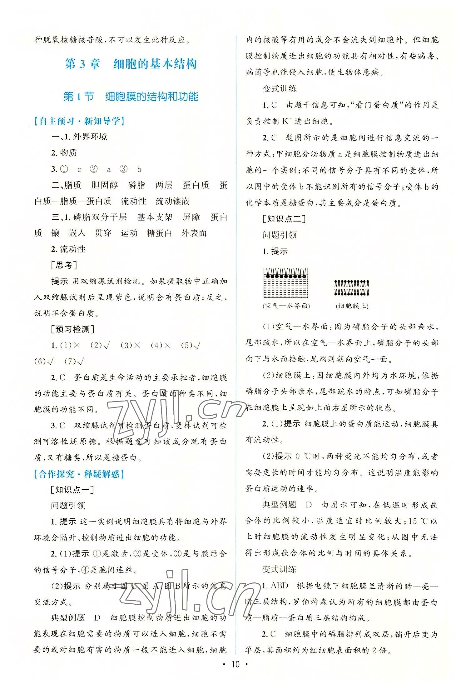 2022年高中同步测控优化设计生物必修1分子与细胞增强版 参考答案第9页