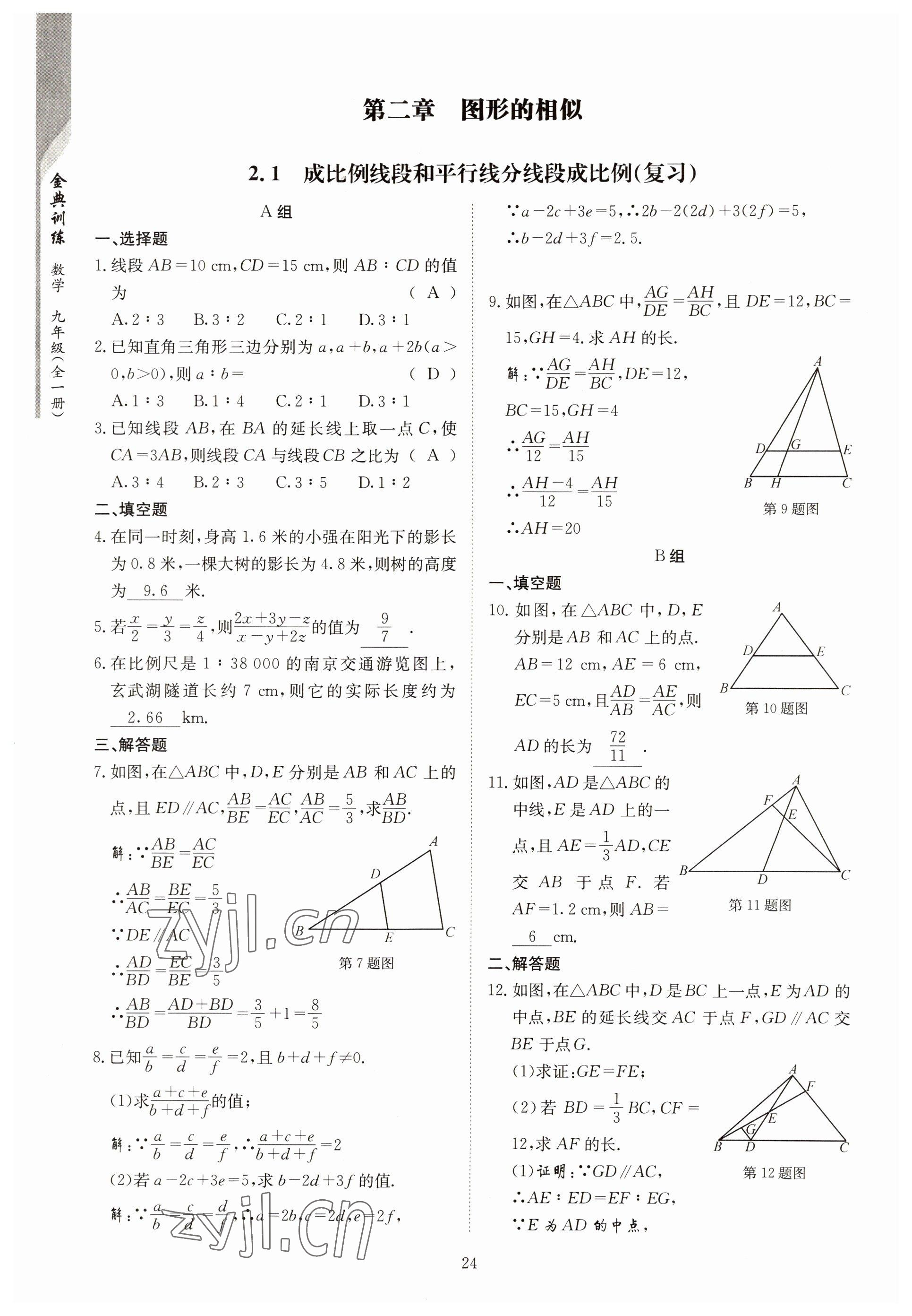 2022年金典训练九年级数学全一册北师大版 参考答案第19页