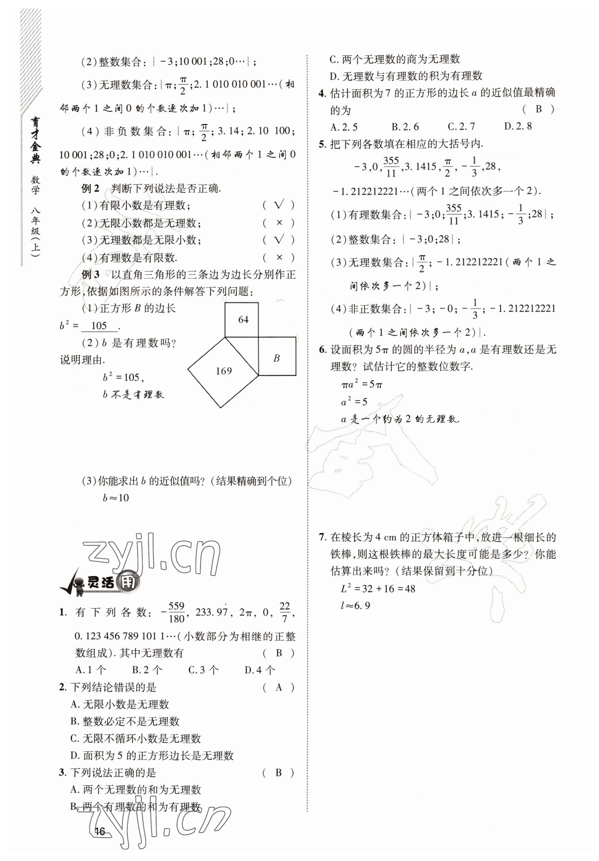 2022年育才金典八年級數學上冊北師大版 參考答案第16頁