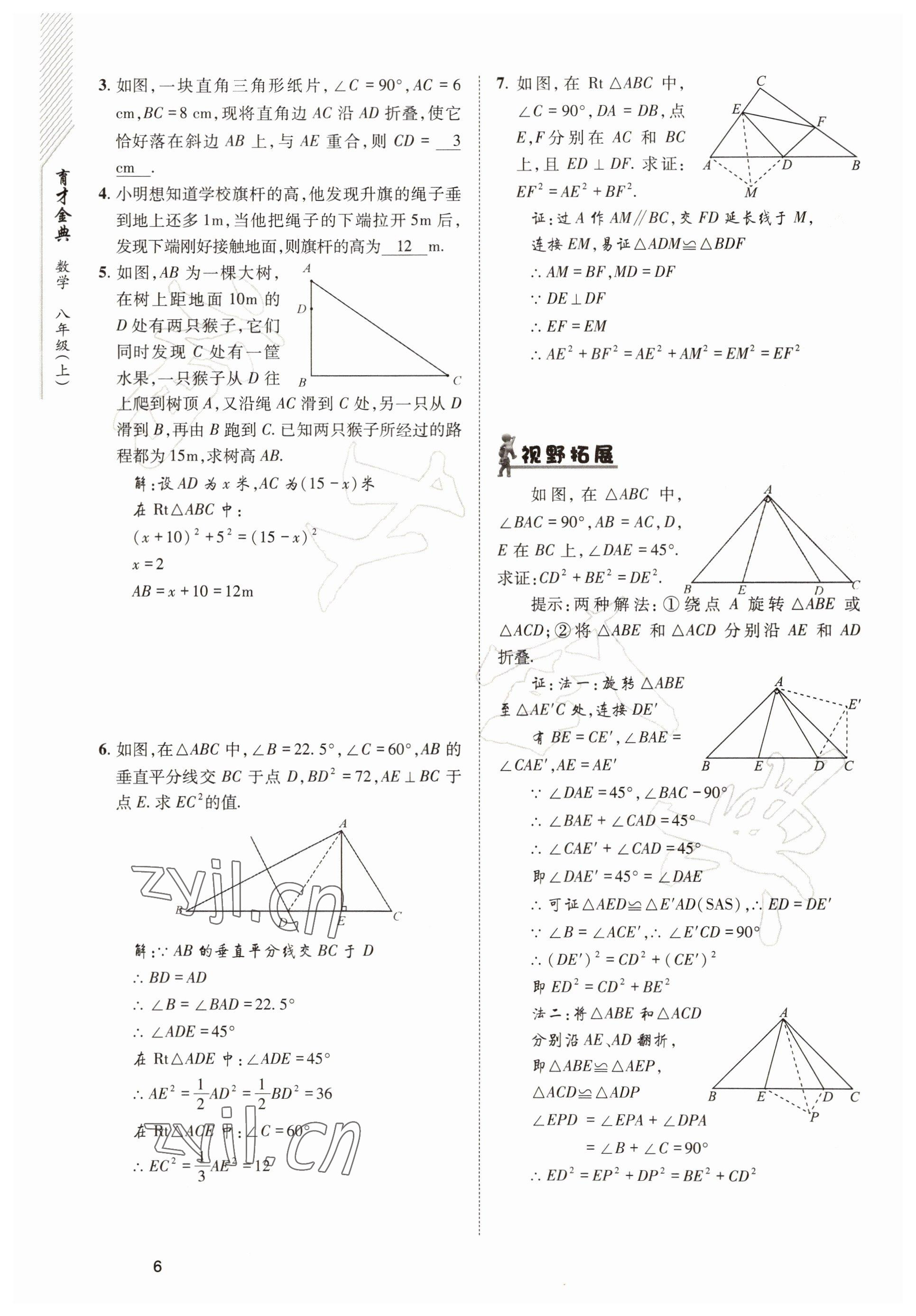 2022年育才金典八年級(jí)數(shù)學(xué)上冊(cè)北師大版 參考答案第6頁(yè)