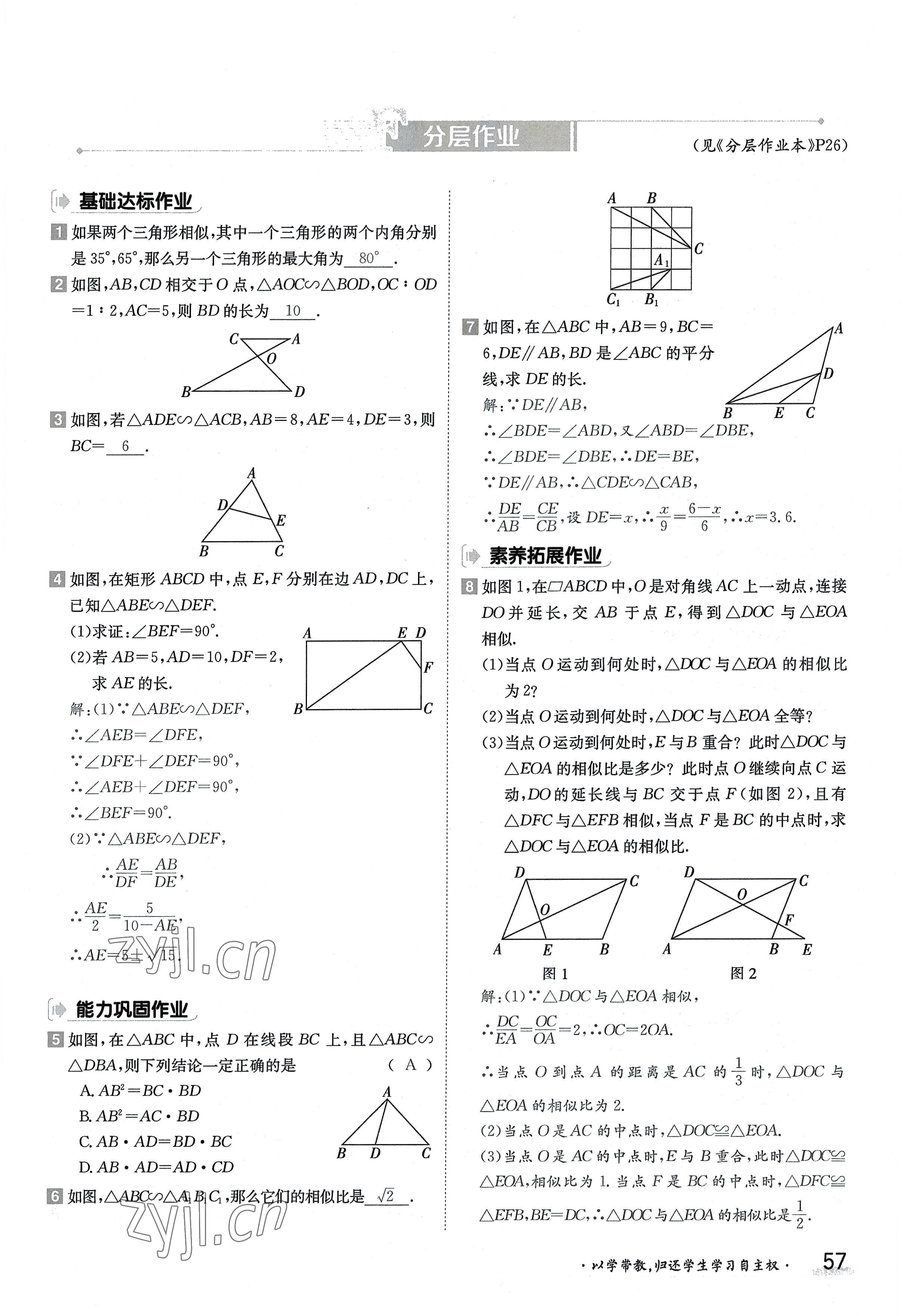 2022年金太陽導(dǎo)學(xué)案九年級(jí)數(shù)學(xué)全一冊(cè)華師大版 參考答案第57頁