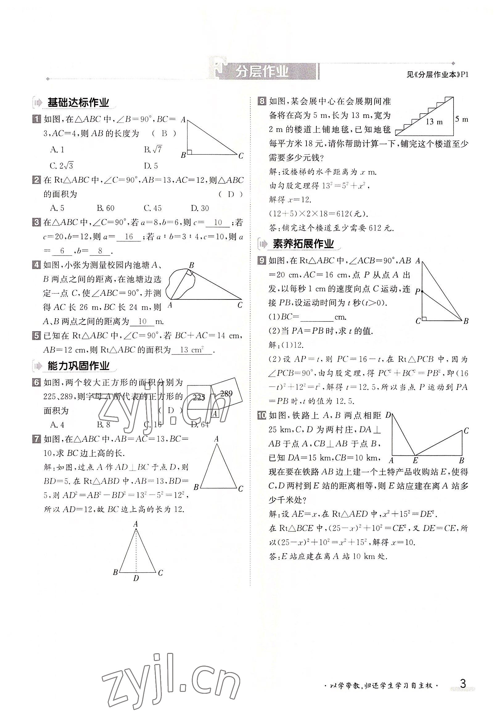 2022年金太阳导学案八年级数学上册北师大版 参考答案第3页