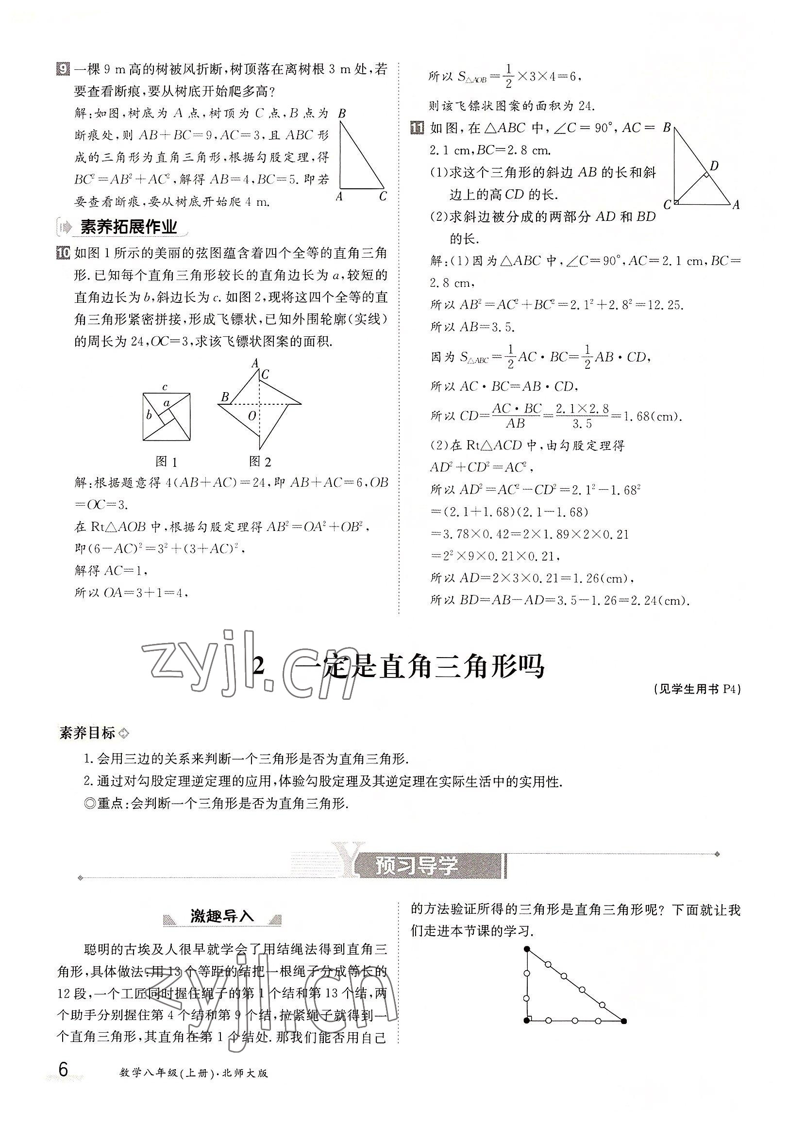 2022年金太阳导学案八年级数学上册北师大版 参考答案第6页