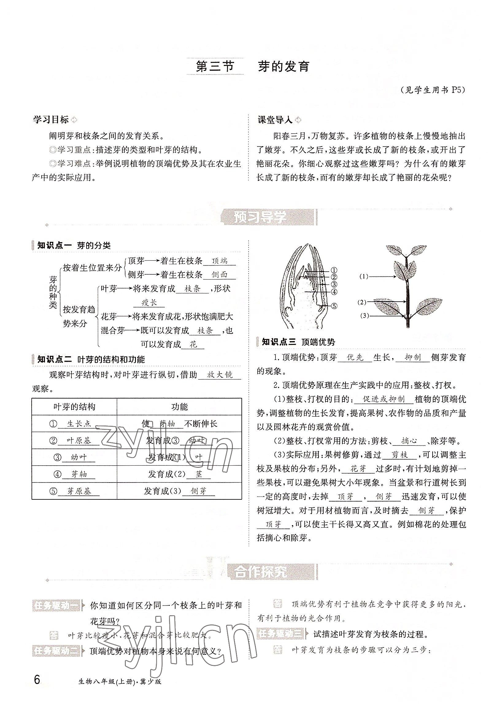 2022年金太阳导学案八年级生物上册冀少版 参考答案第6页