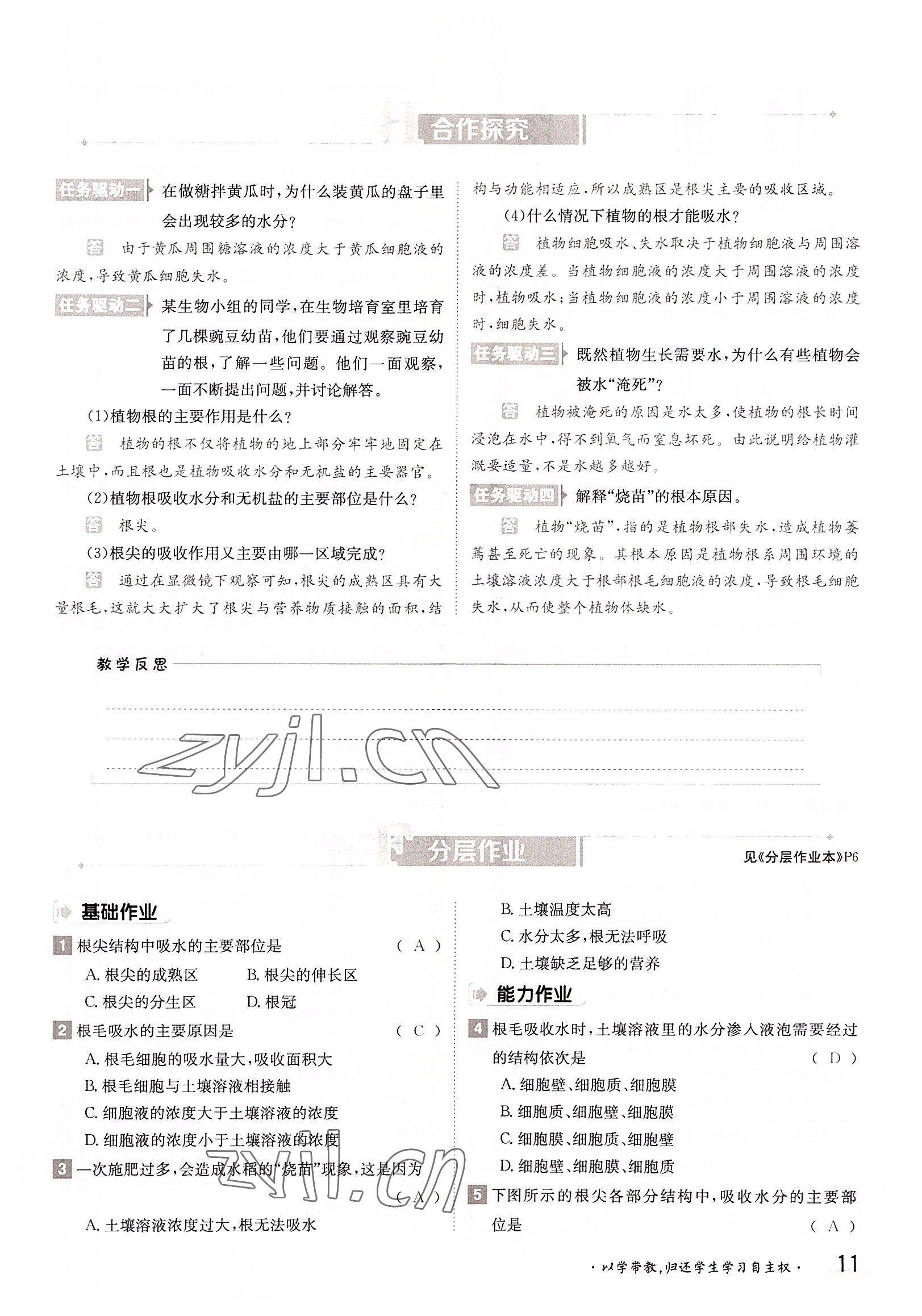 2022年金太阳导学案八年级生物上册冀少版 参考答案第11页