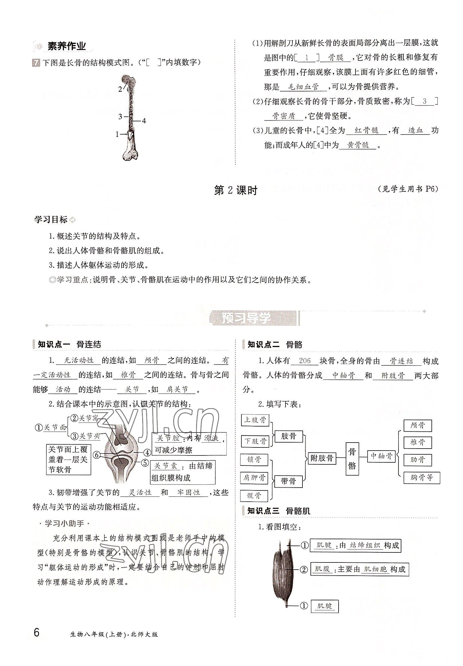 2022年金太阳导学案八年级生物上册北师大版 参考答案第6页