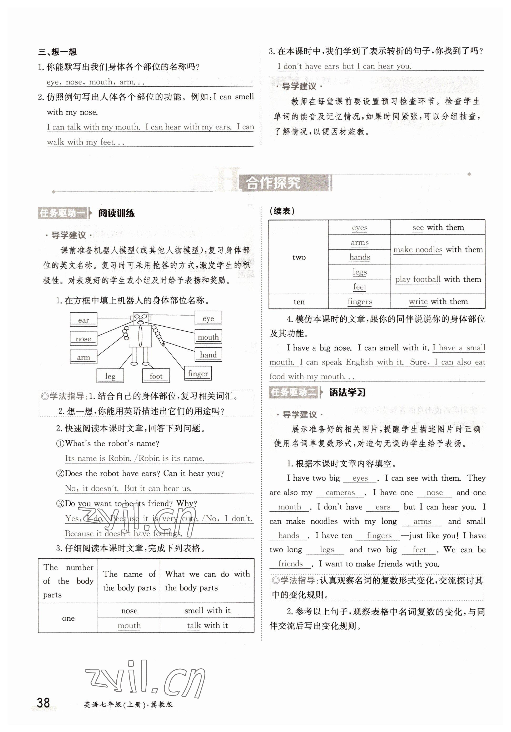 2022年金太陽導(dǎo)學(xué)案七年級英語上冊冀教版 參考答案第38頁