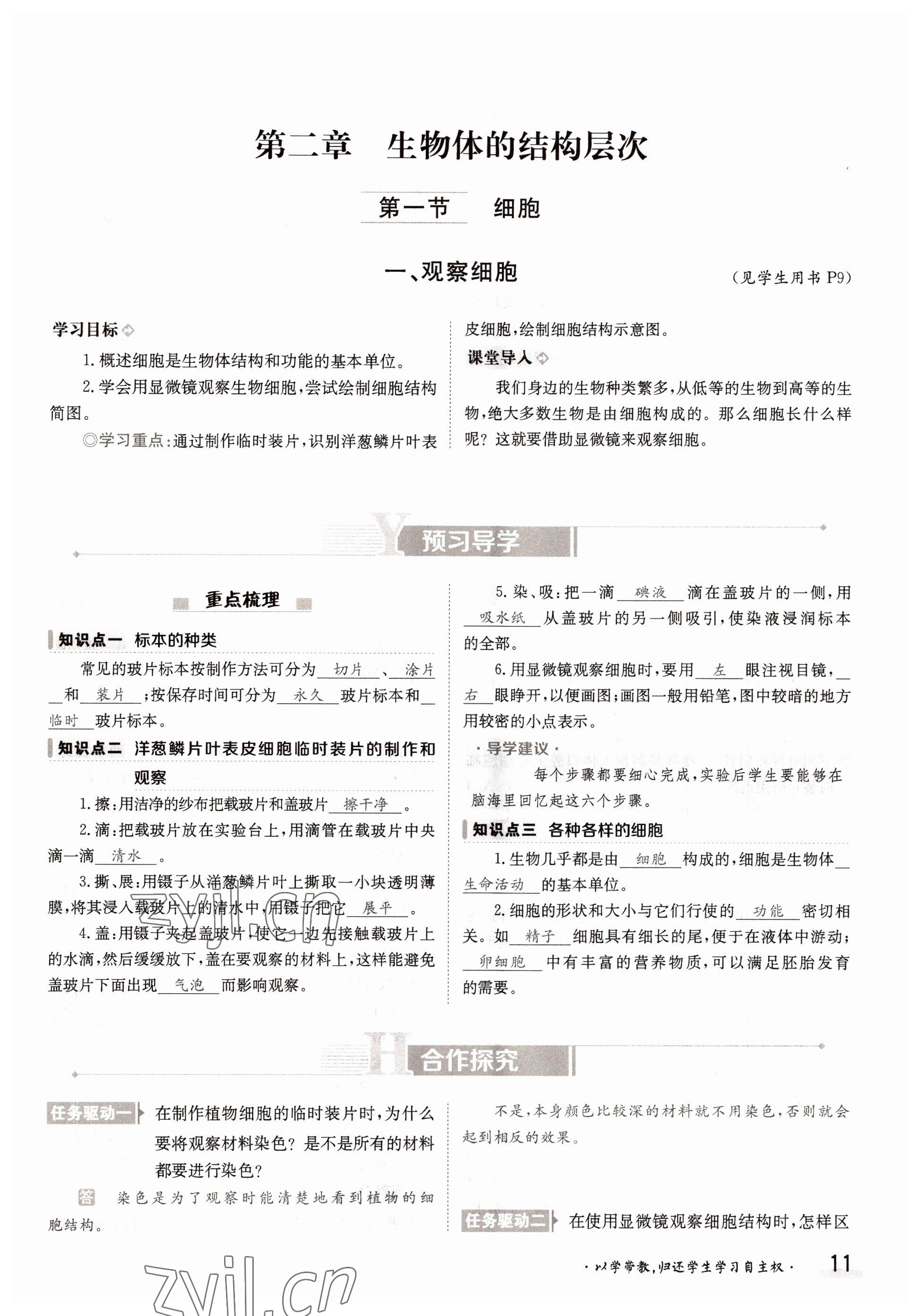 2022年金太陽(yáng)導(dǎo)學(xué)案七年級(jí)生物上冊(cè)冀少版 參考答案第11頁(yè)