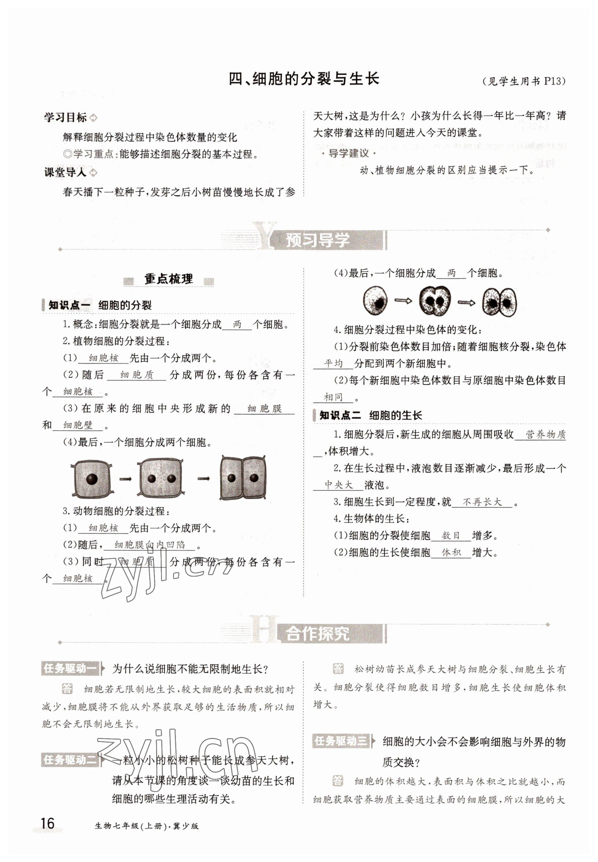 2022年金太陽導(dǎo)學(xué)案七年級(jí)生物上冊(cè)冀少版 參考答案第16頁