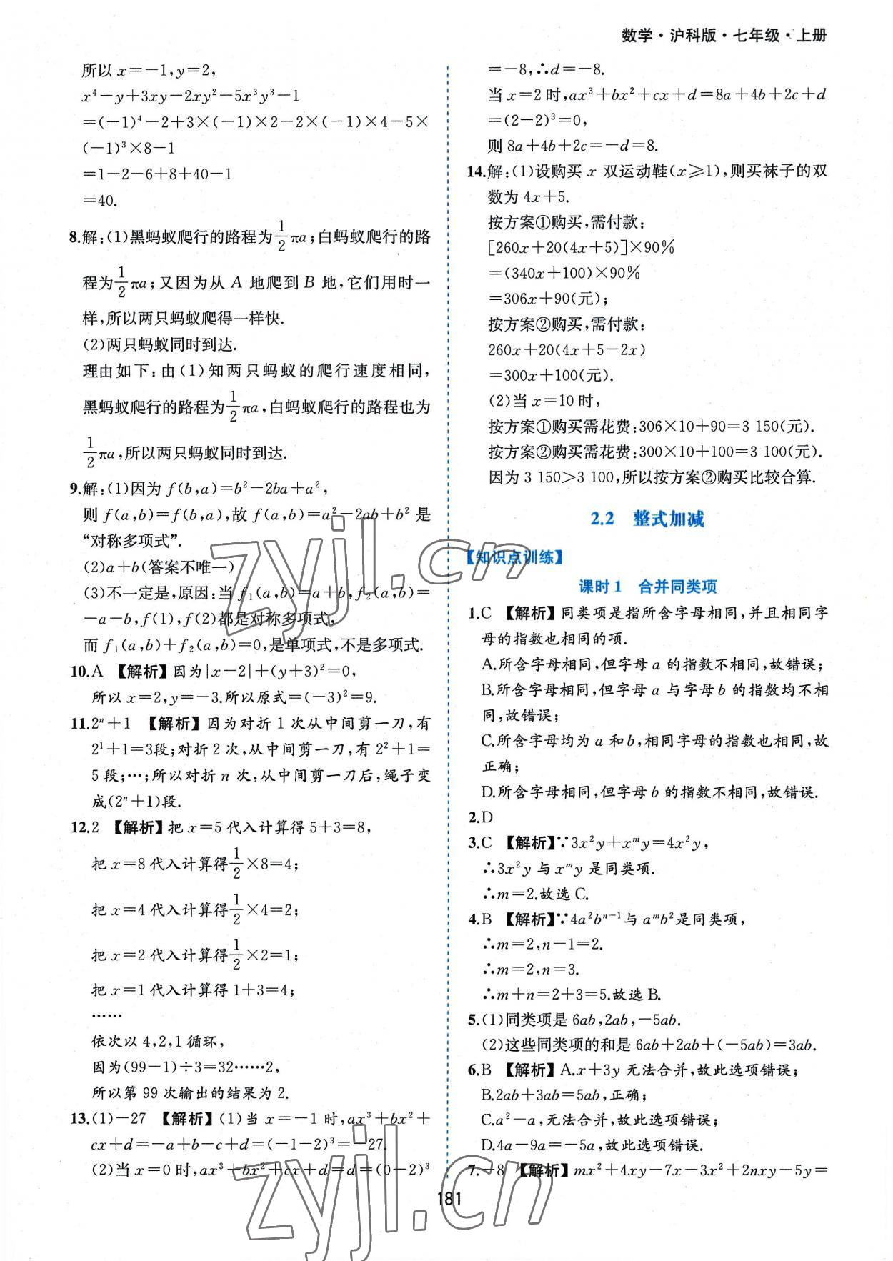 2022年新编基础训练七年级数学上册沪科版黄山书社 第15页