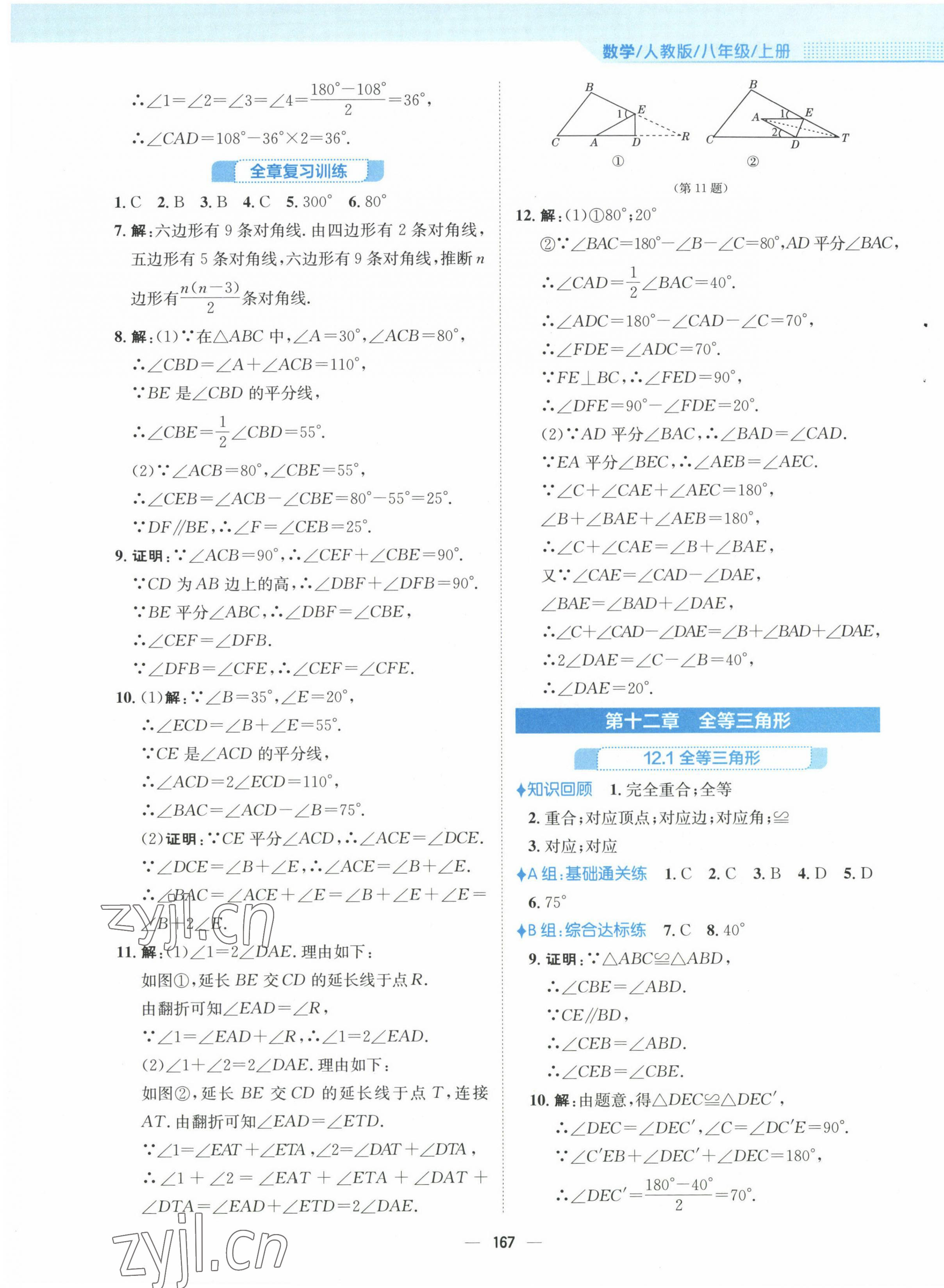 2022年新编基础训练八年级数学上册人教版 参考答案第7页