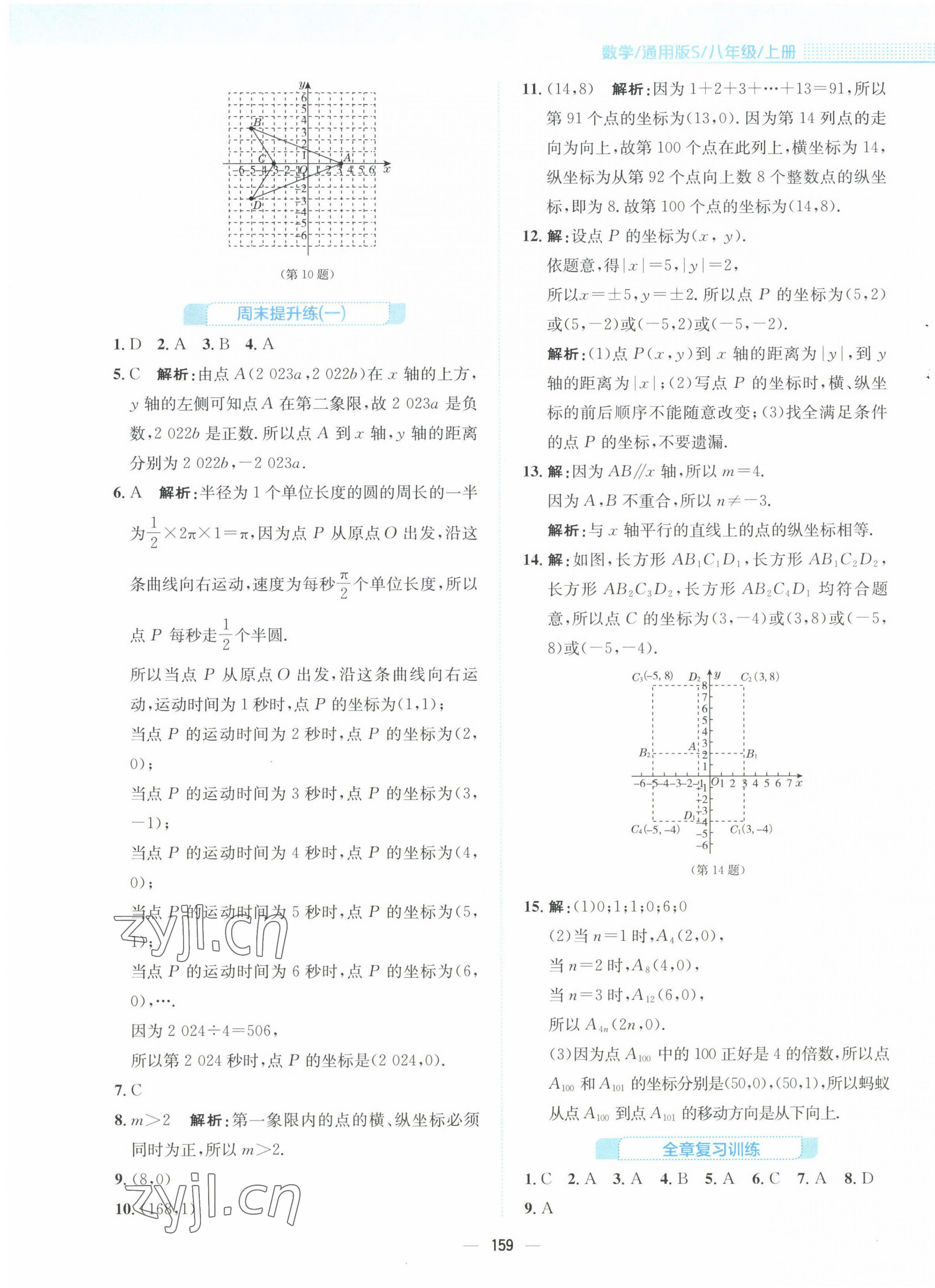 2022年新编基础训练八年级数学上册通用版S安徽教育出版社 第3页