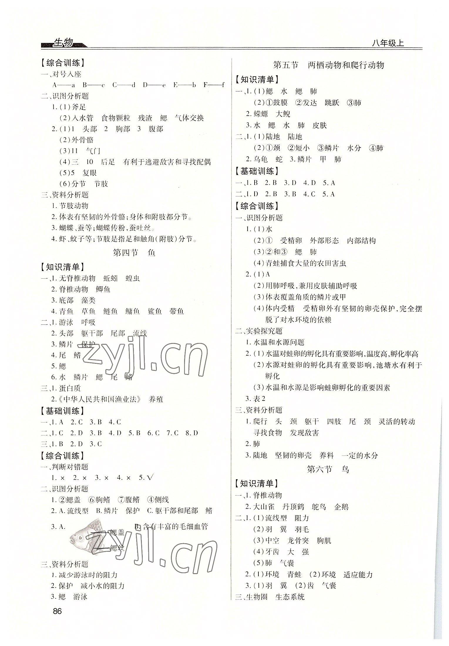 2022年全练练测考八年级生物上册人教版 第2页