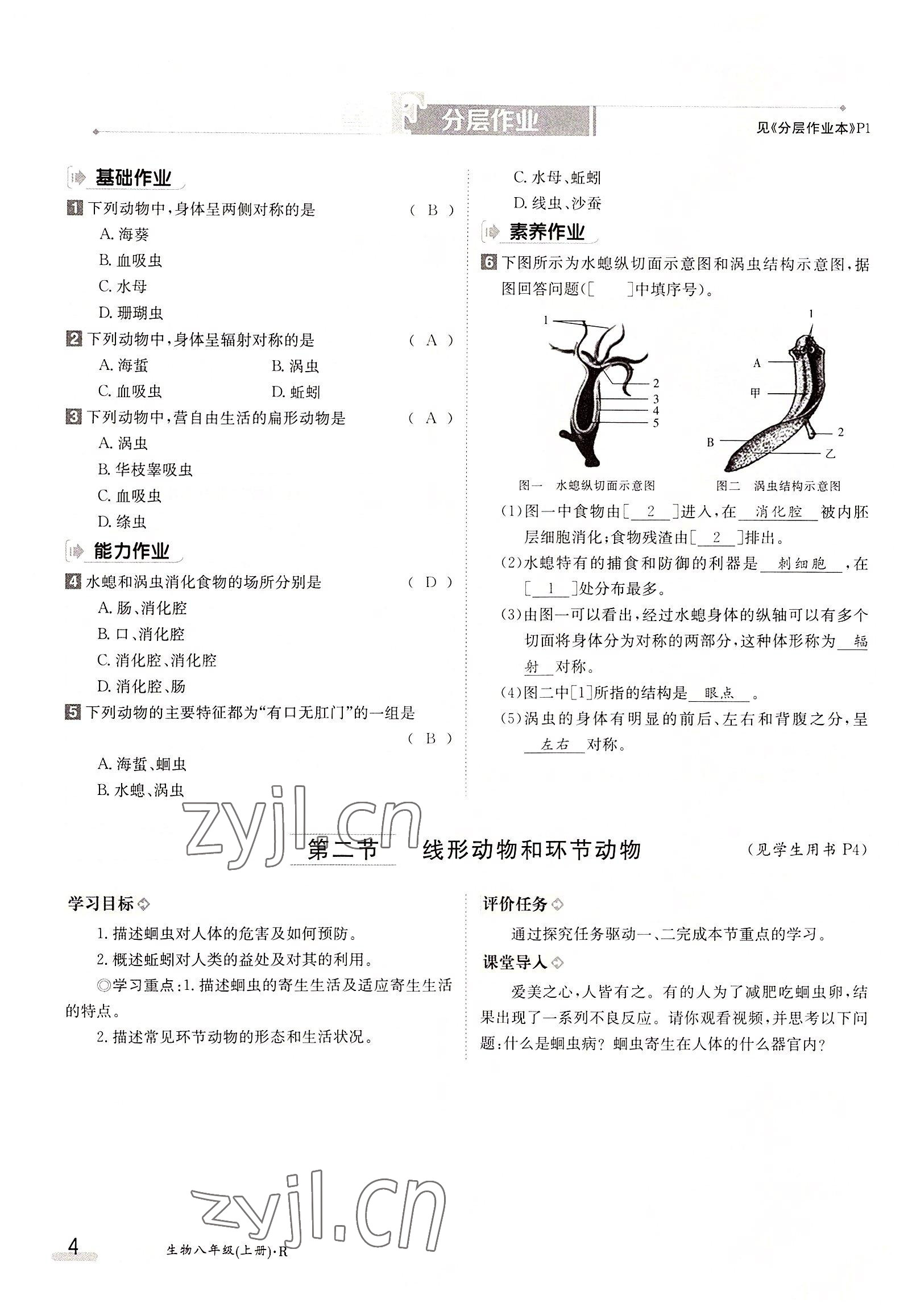 2022年三段六步導(dǎo)學(xué)測(cè)評(píng)八年級(jí)生物上冊(cè)人教版 參考答案第4頁(yè)