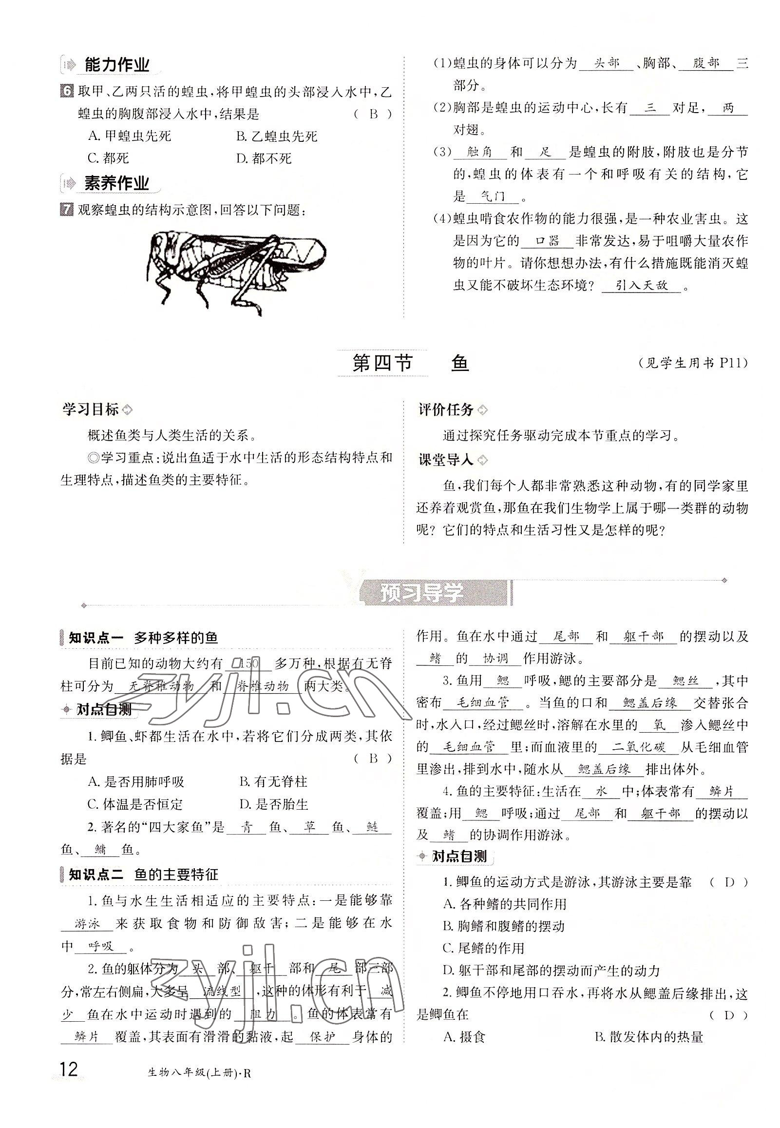 2022年三段六步導(dǎo)學(xué)測(cè)評(píng)八年級(jí)生物上冊(cè)人教版 參考答案第12頁(yè)