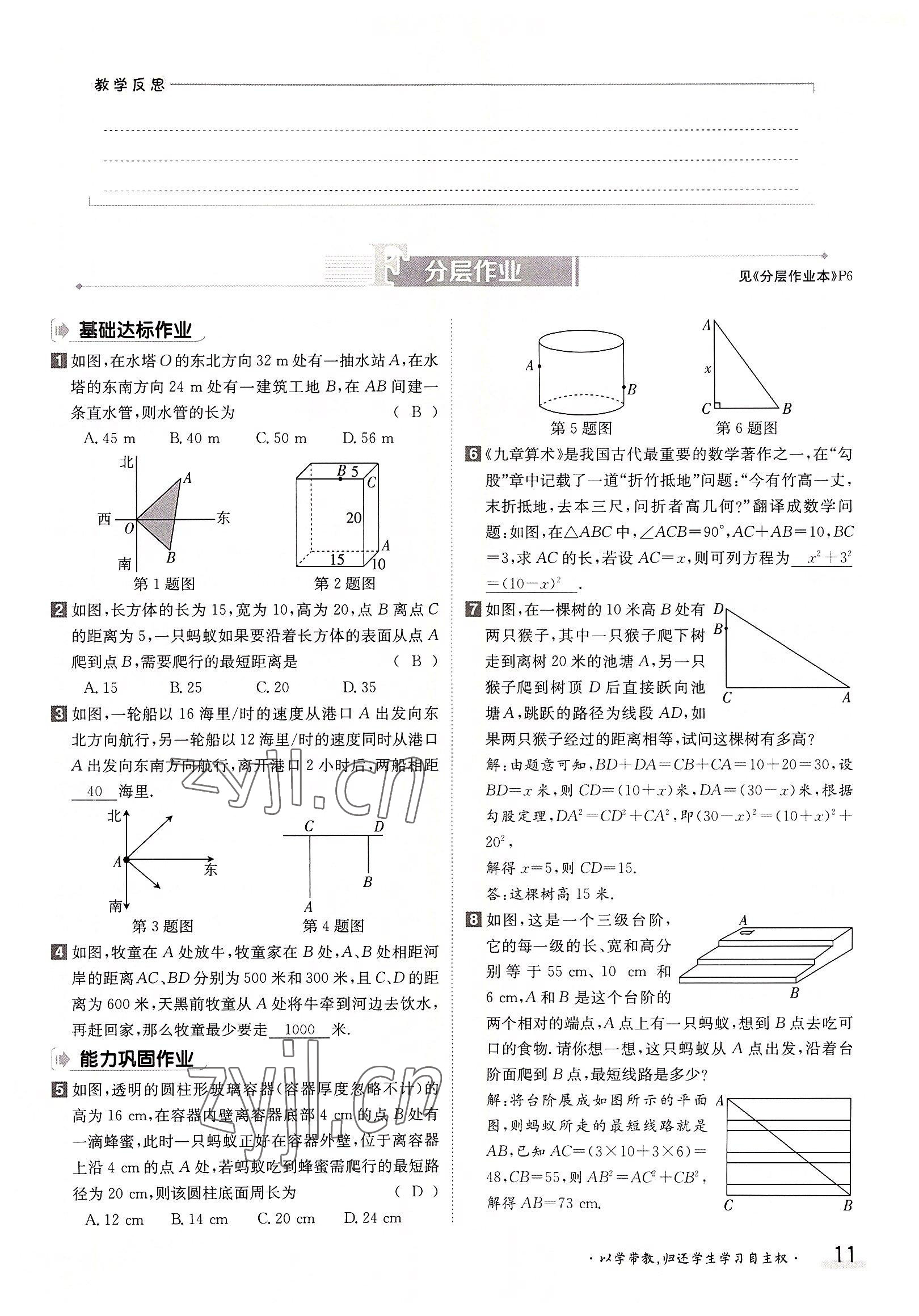 2022年三段六步導學測評八年級數(shù)學上冊北師大版 參考答案第11頁