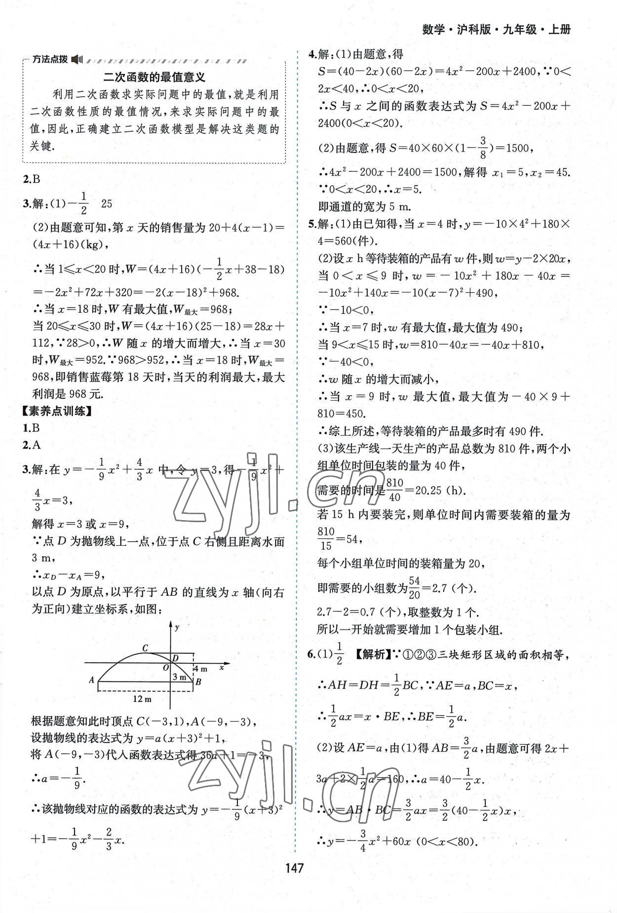 2022年新编基础训练九年级数学上册沪科版黄山书社 第13页