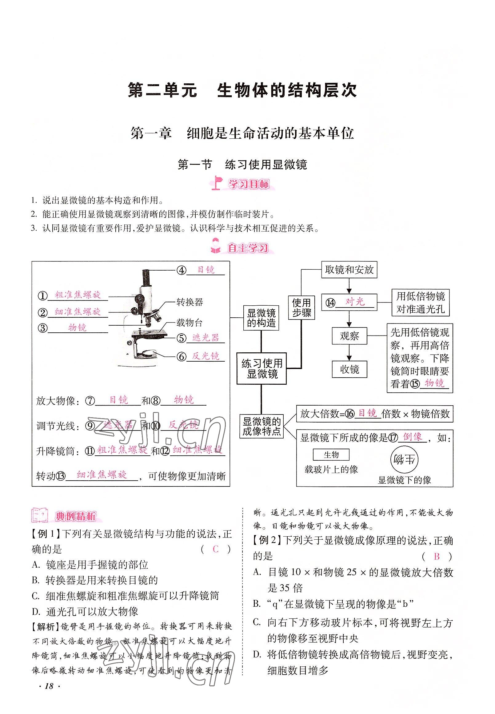 2022年本土攻略七年級(jí)生物上冊(cè)人教版 參考答案第18頁(yè)