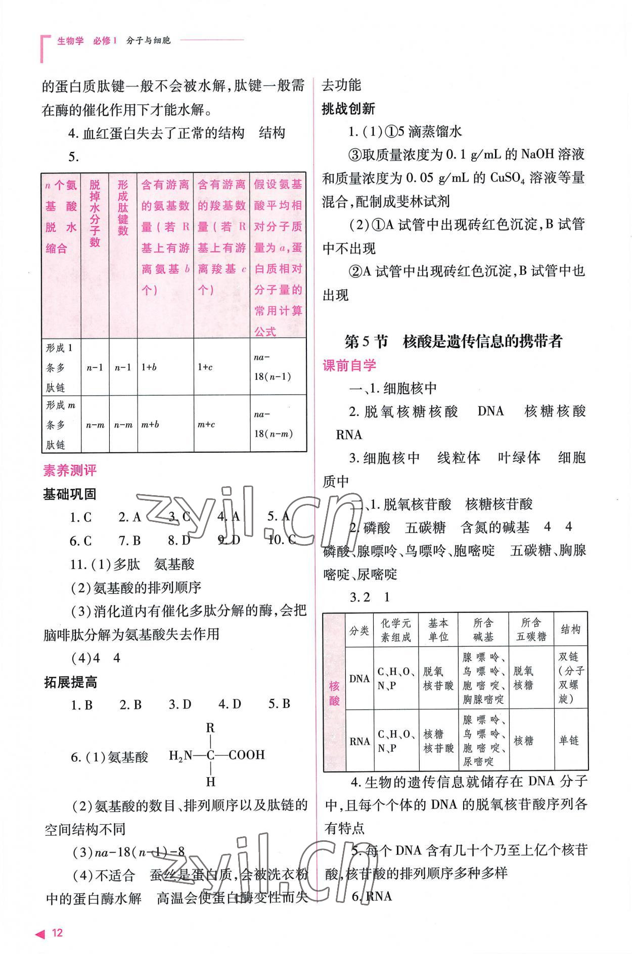 2022年普通高中新課程同步練習(xí)冊(cè)高中生物必修1人教版 參考答案第12頁(yè)