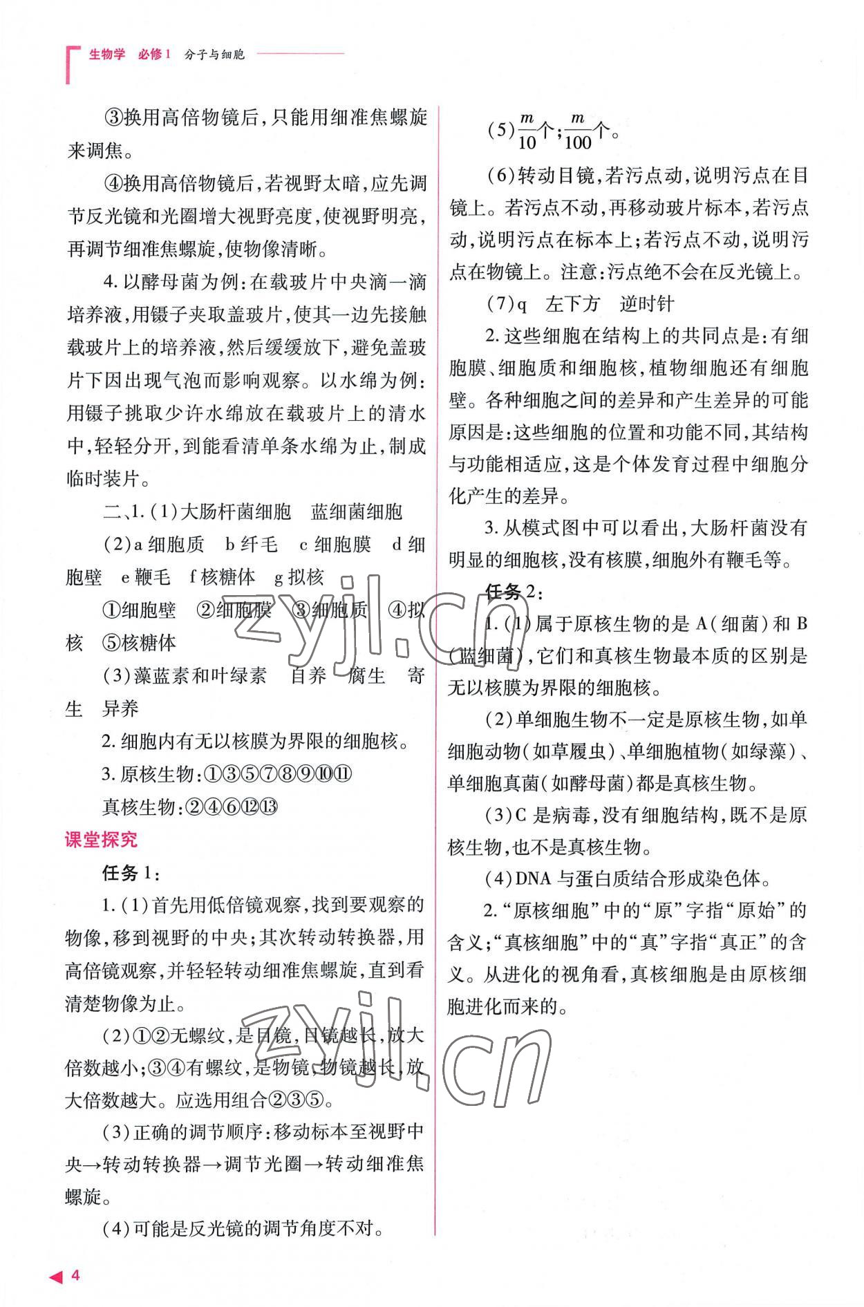 2022年普通高中新课程同步练习册高中生物必修1人教版 参考答案第4页