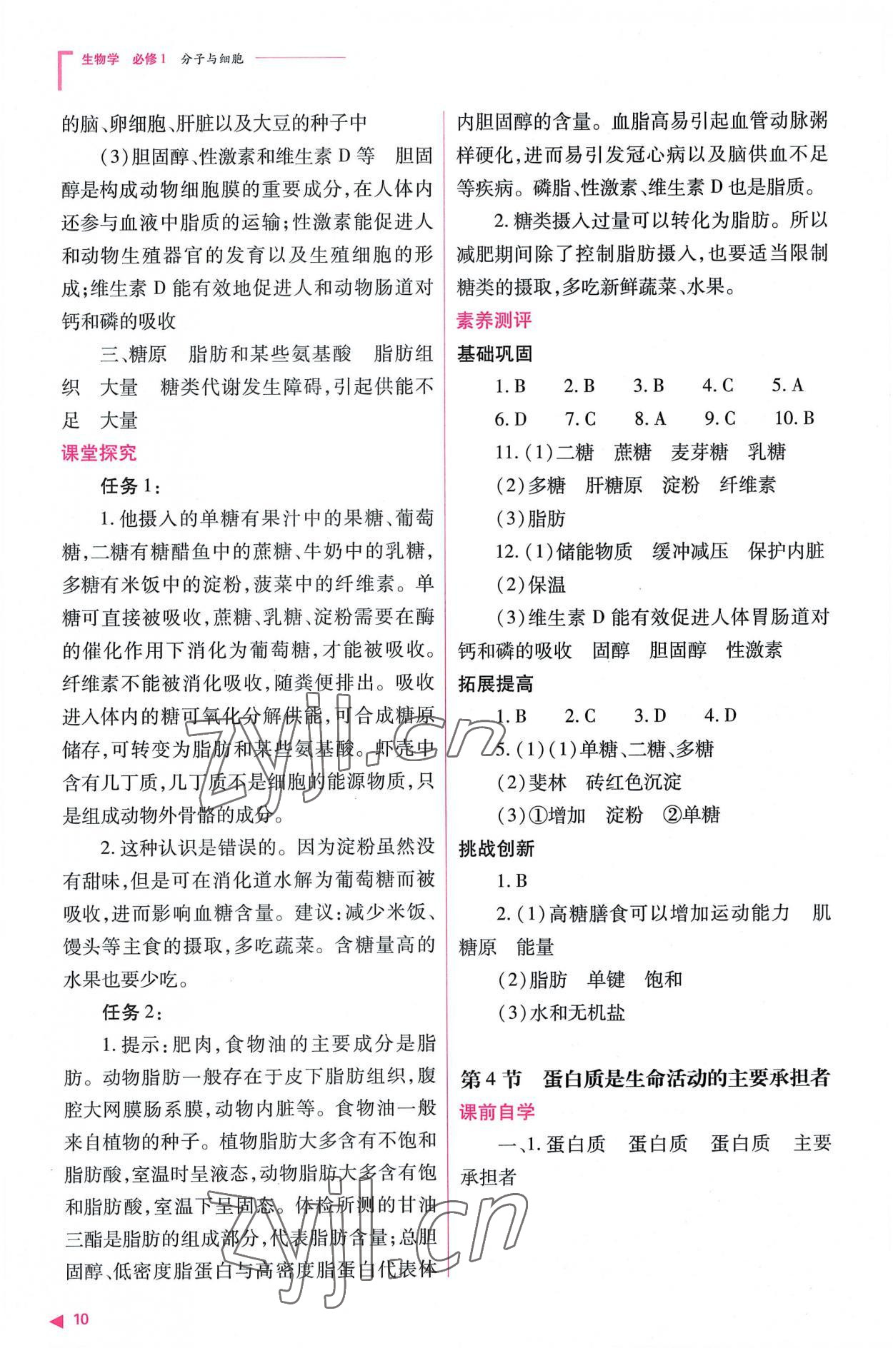 2022年普通高中新课程同步练习册高中生物必修1人教版 参考答案第10页