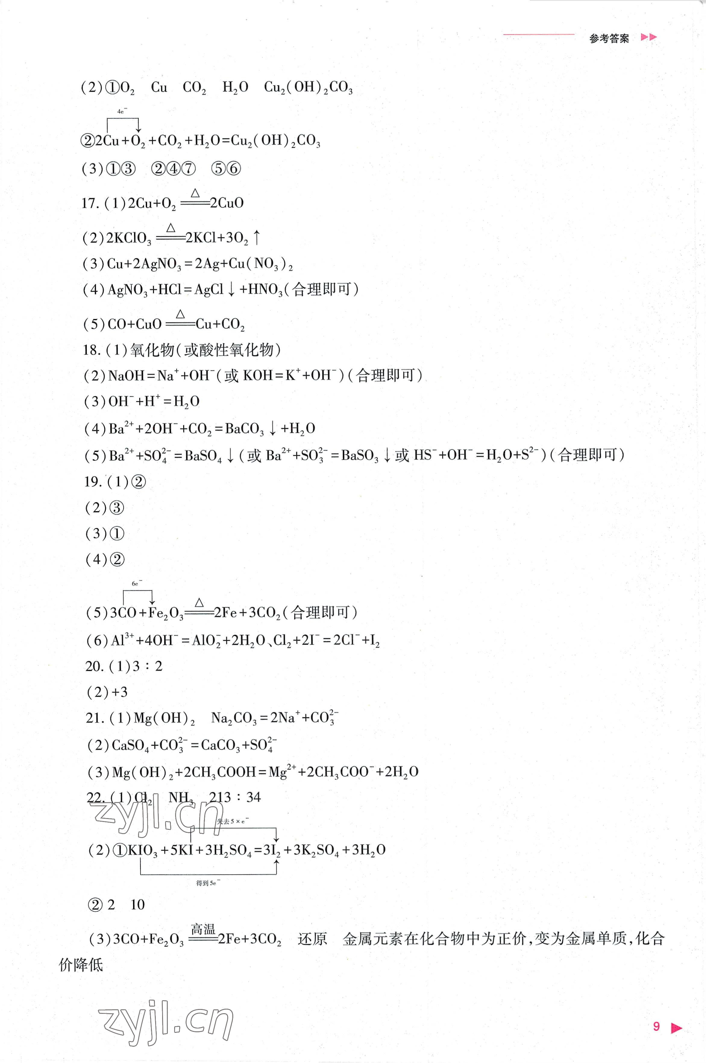 2022年普通高中新課程同步練習(xí)冊高中化學(xué)必修第一冊人教版 參考答案第9頁