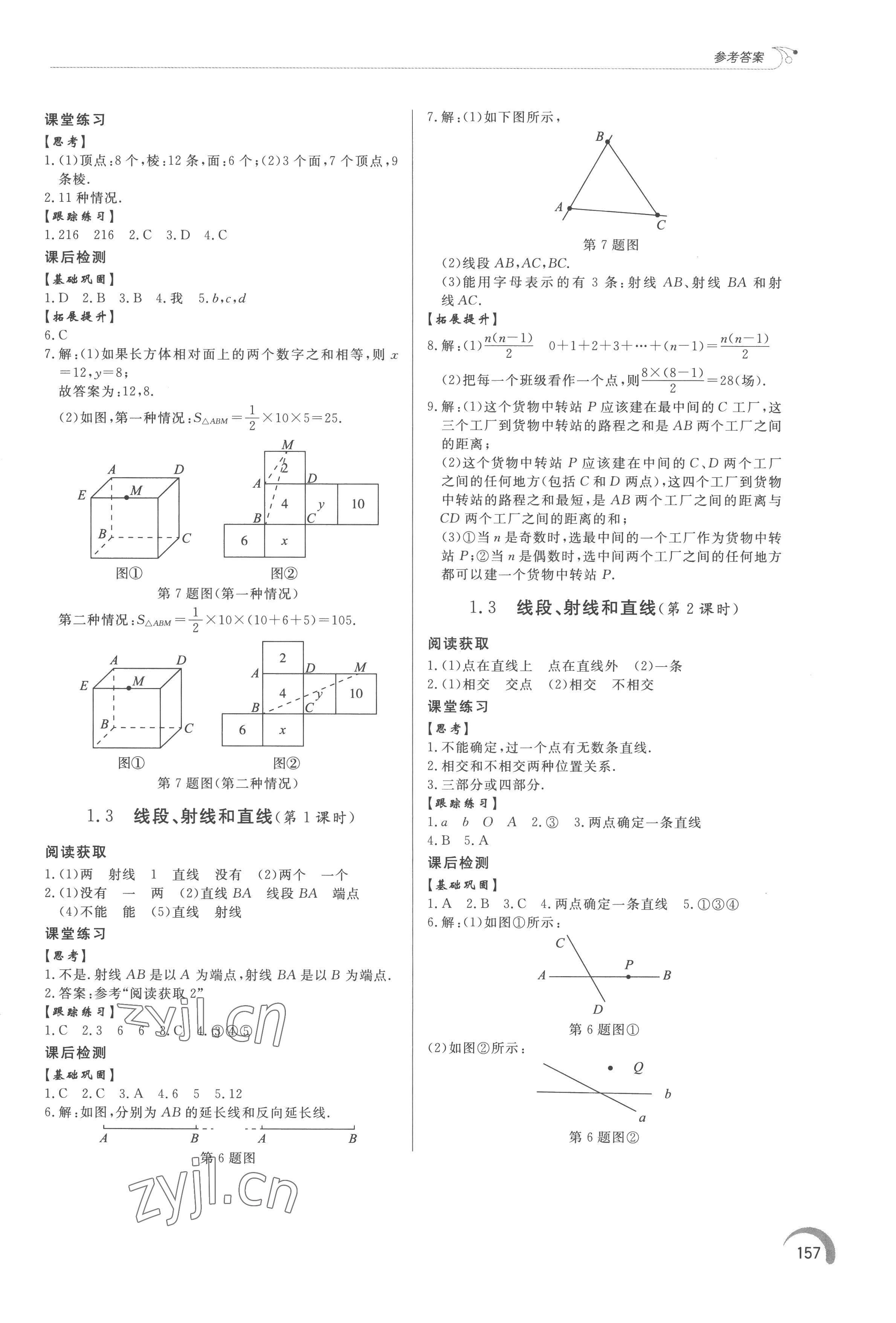 2022年同步练习册泰山出版社七年级数学上册青岛版 参考答案第2页